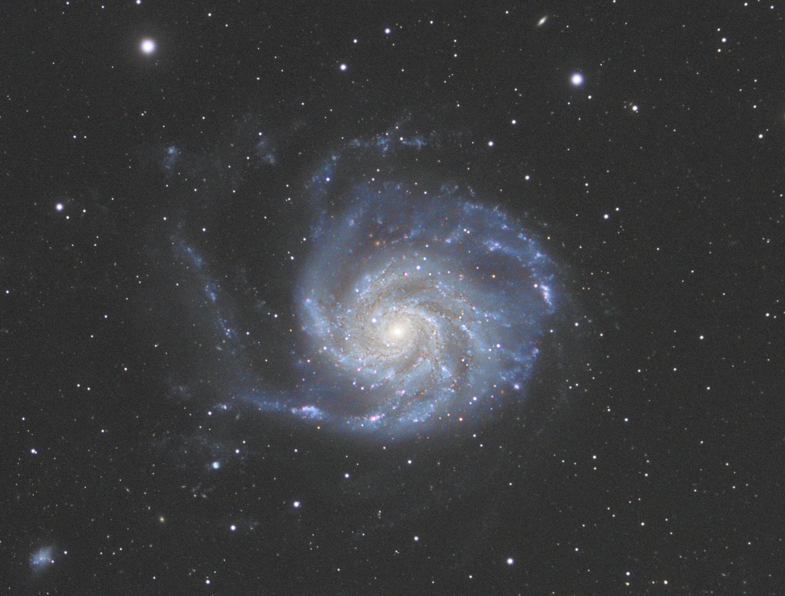 Only-M101.jpg