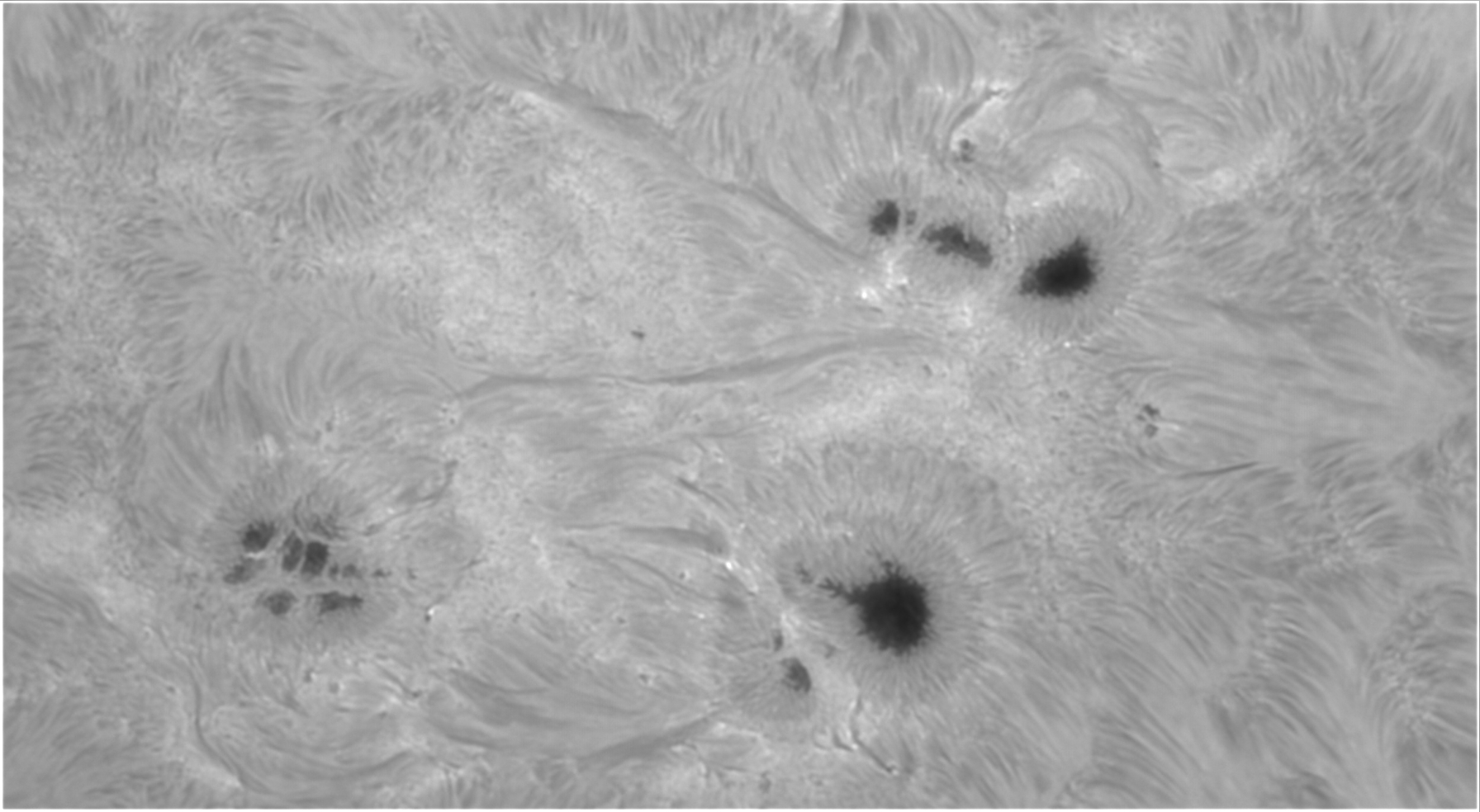 Sun_TS125_SDII_AR12994_[P5_2022-04-23-1511_Ha_Gain120_2_Exp4ms_lapl5_ap3197]_S1d2_gimp_BW_flip.jpg