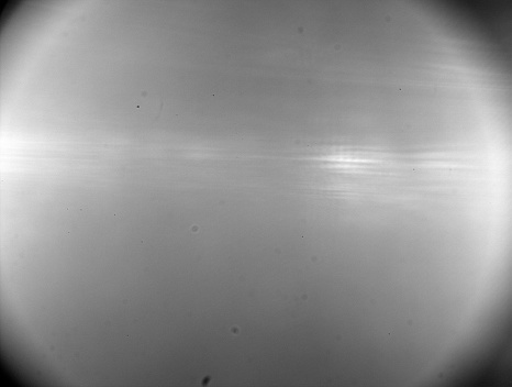 2022-04-23-0544_7_1-B10.jpg