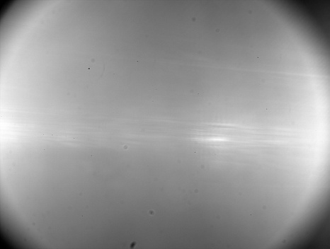2022-04-23-0625_8_1-B10.jpg