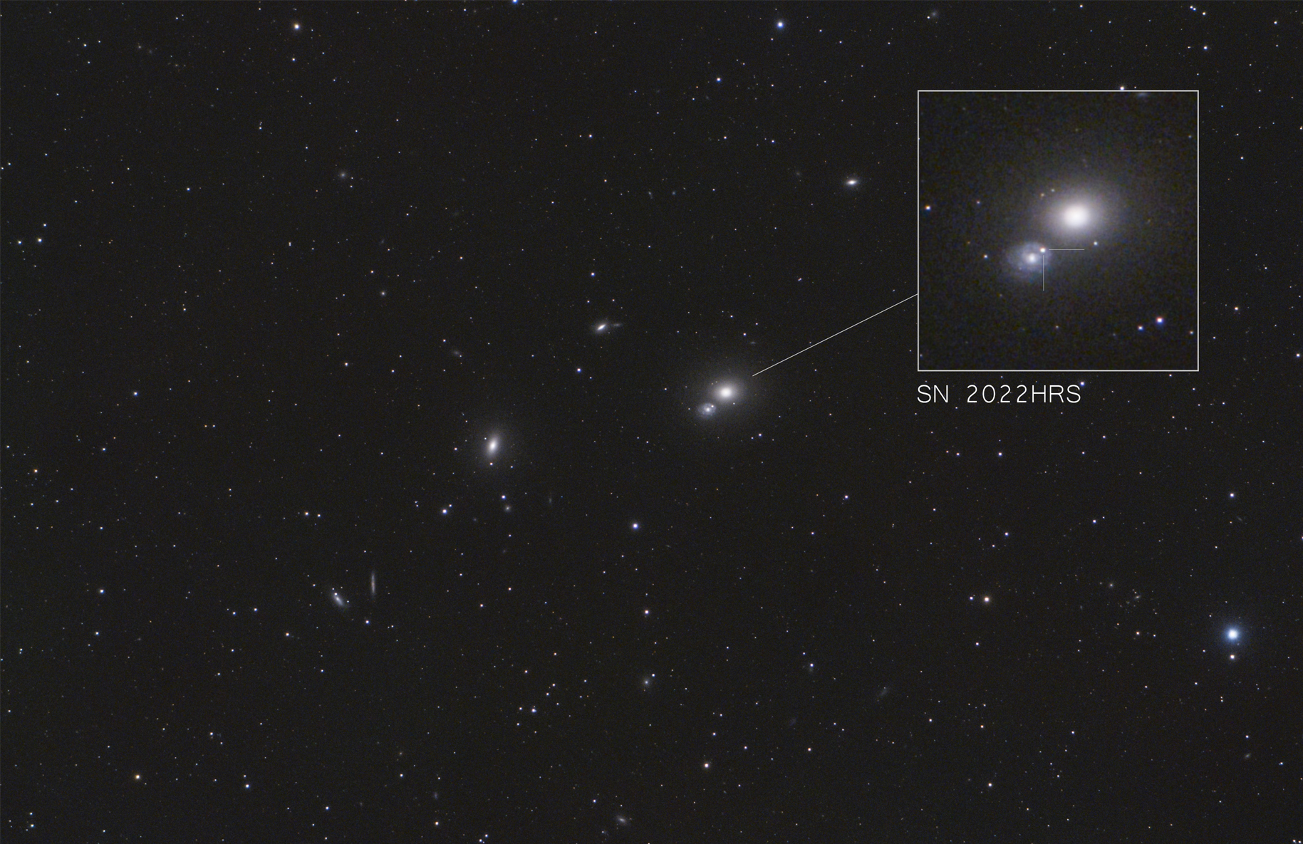 SN2022_1_af.jpg