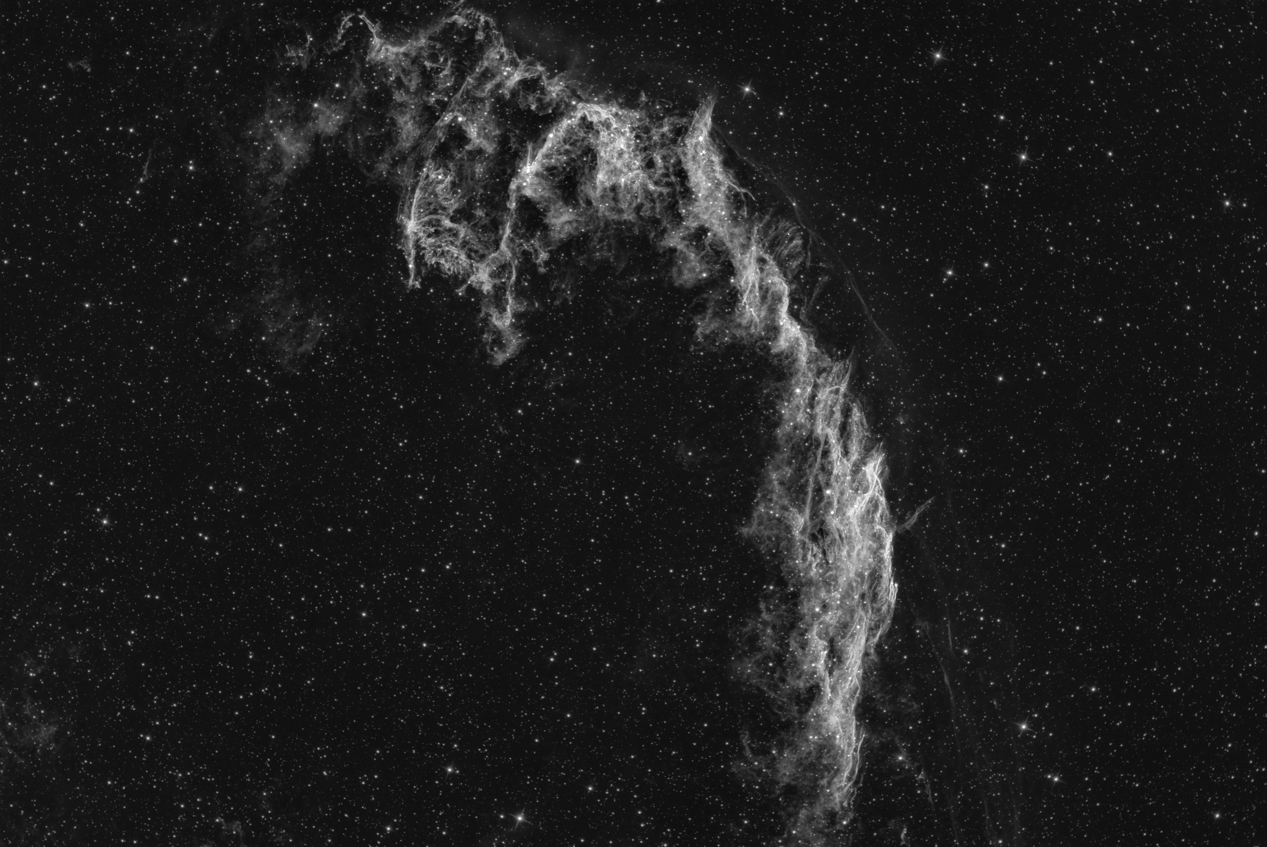 NGC 6995_Ha_NEW_sm.jpg