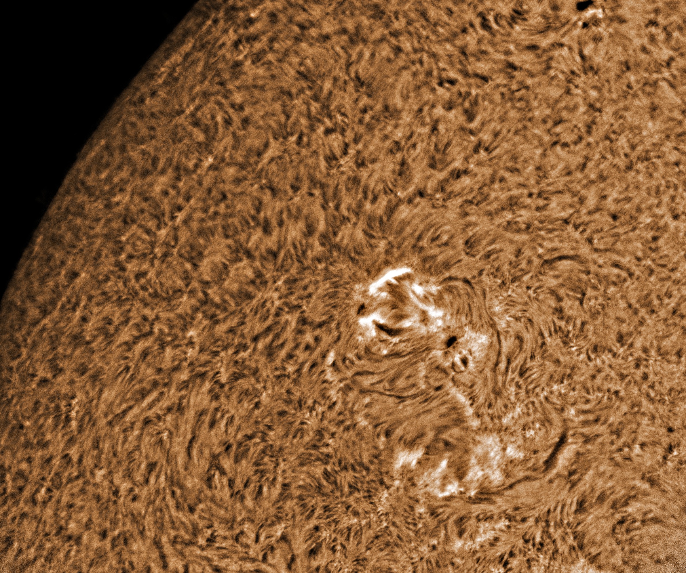 f07_45_29_F_00000080.jpg