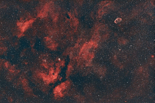 1659047516.jpg