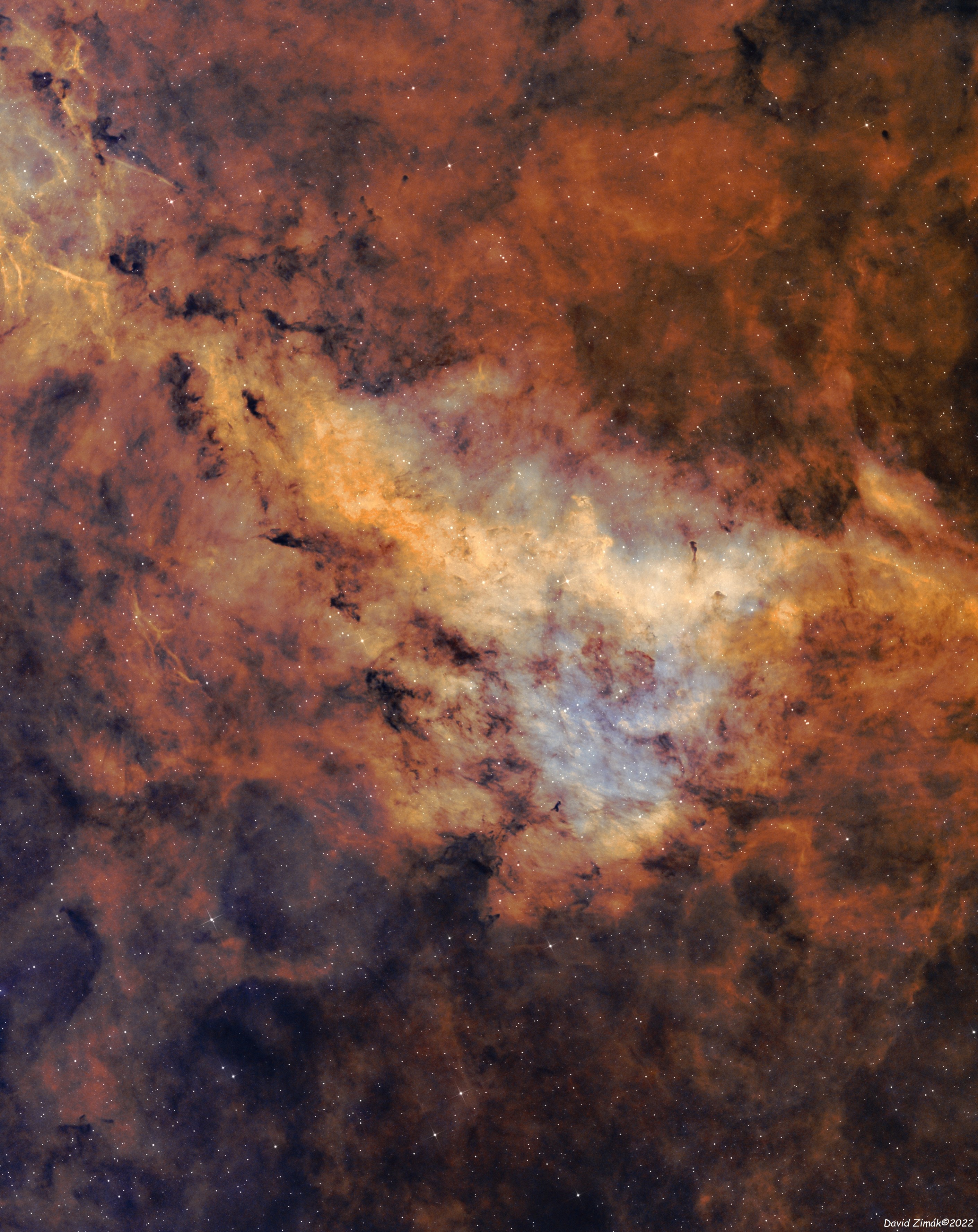 LBN 251_Longhorn nebula_HST_1_sm.jpg