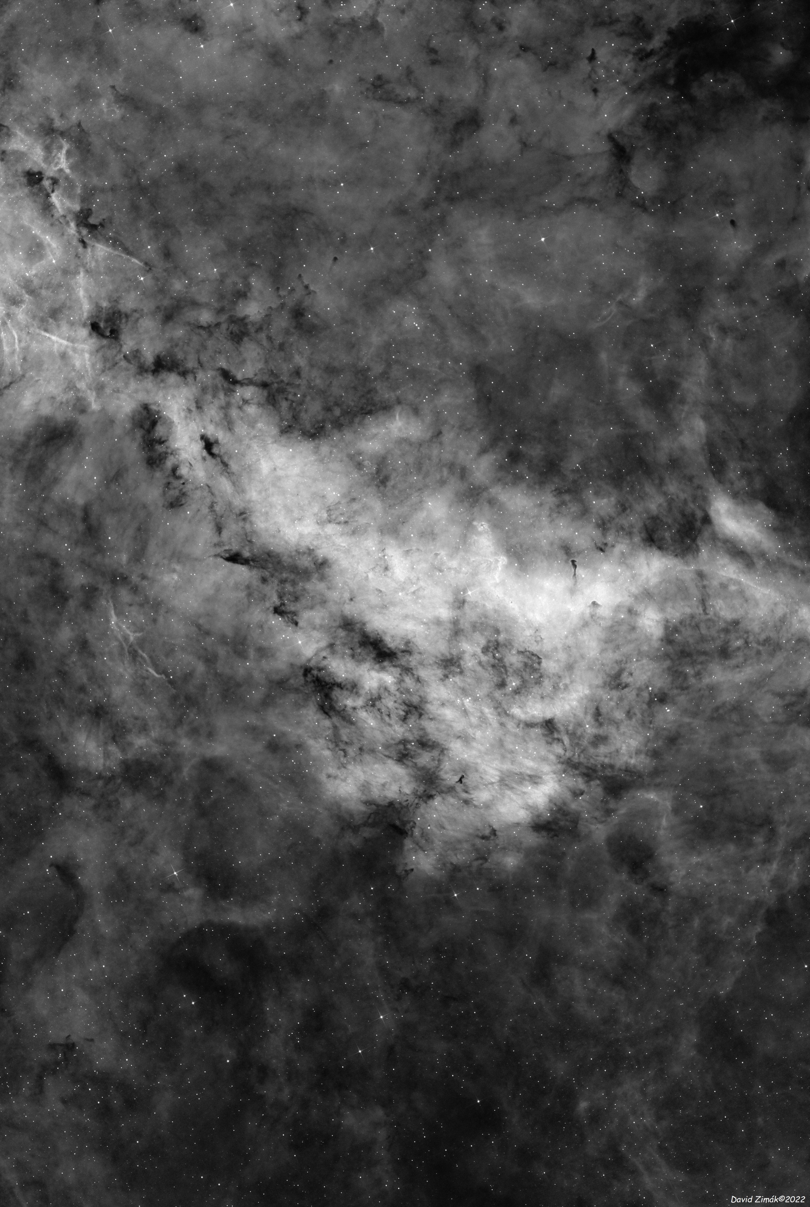 LBN_251_Longhorn nebula_Ha_sm.jpg
