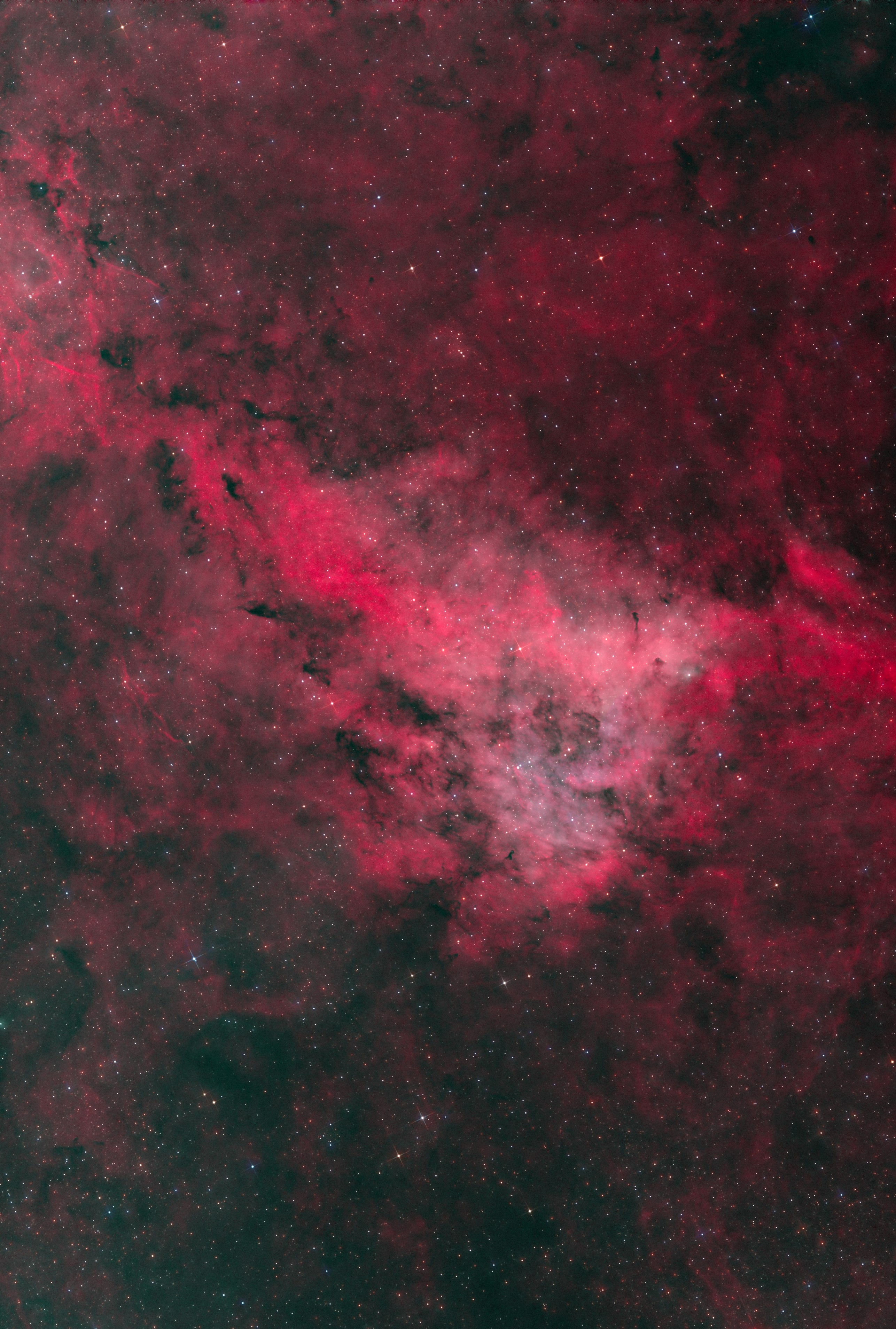 LBN 251_Longhorn nebula_Bicolor_RGB stars_1_sm.jpg