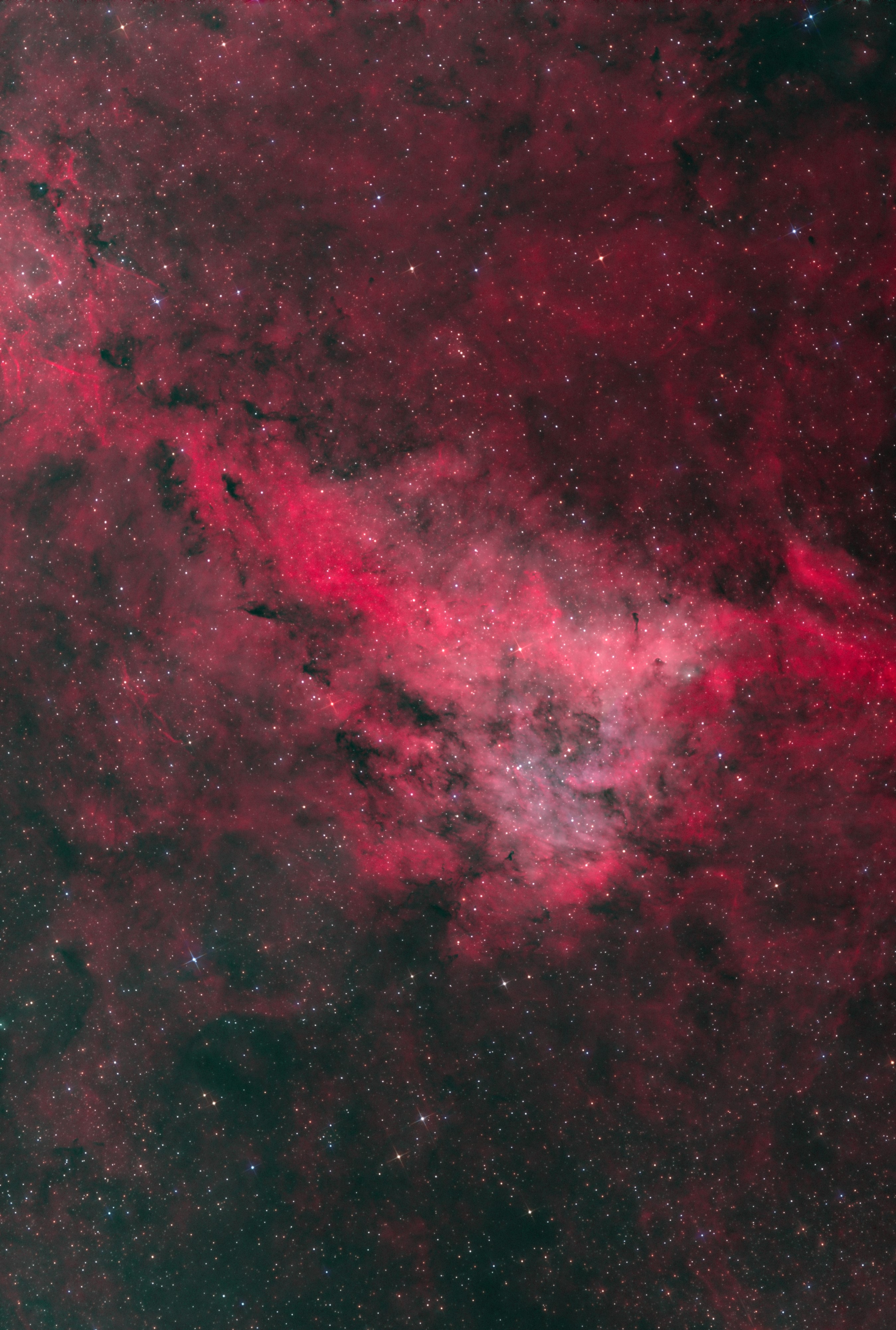 LBN 251_Longhorn nebula_Bicolor_RGB stars_2_sm.jpg
