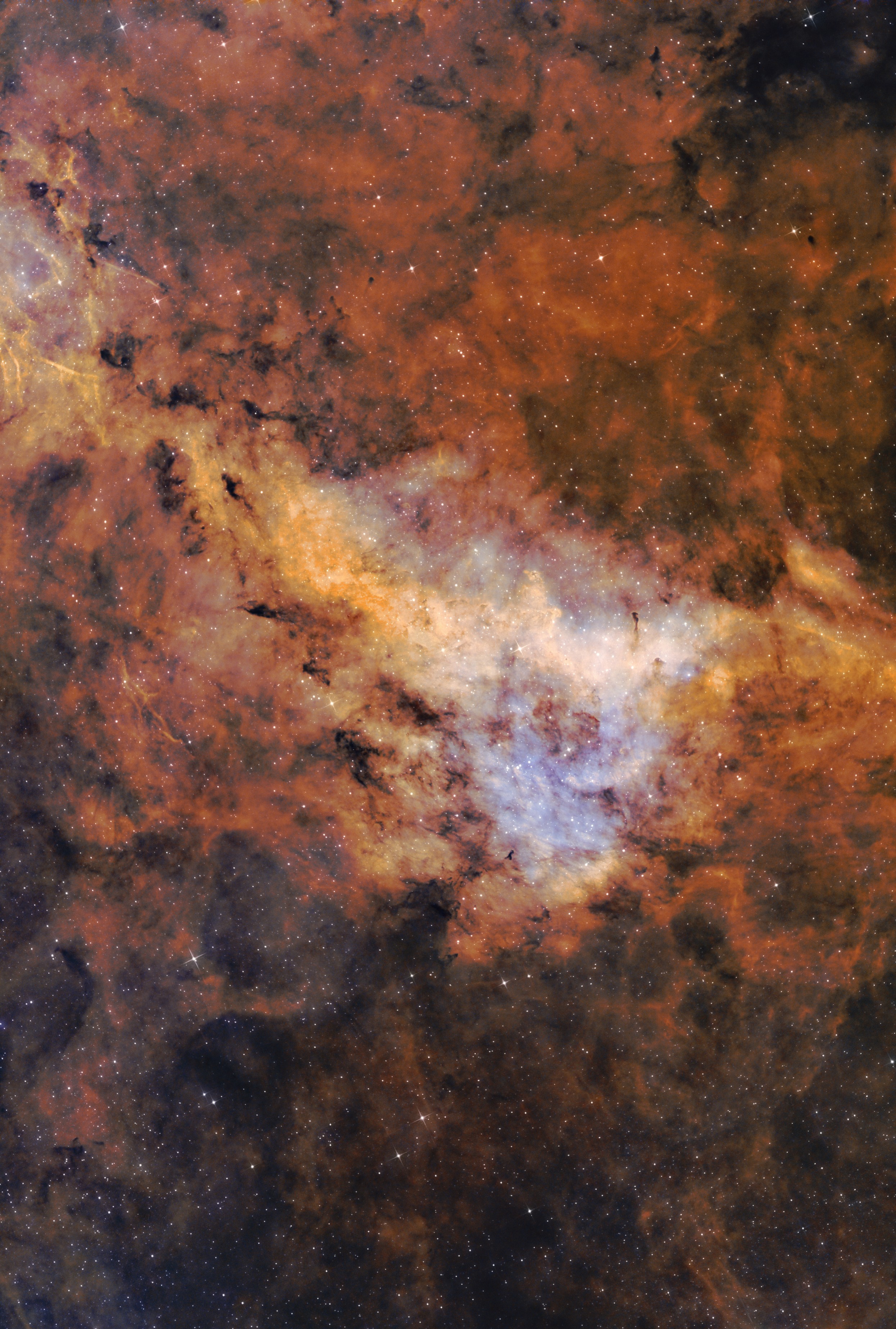 LBN 251_Longhorn nebula_HST_5_sm.jpg