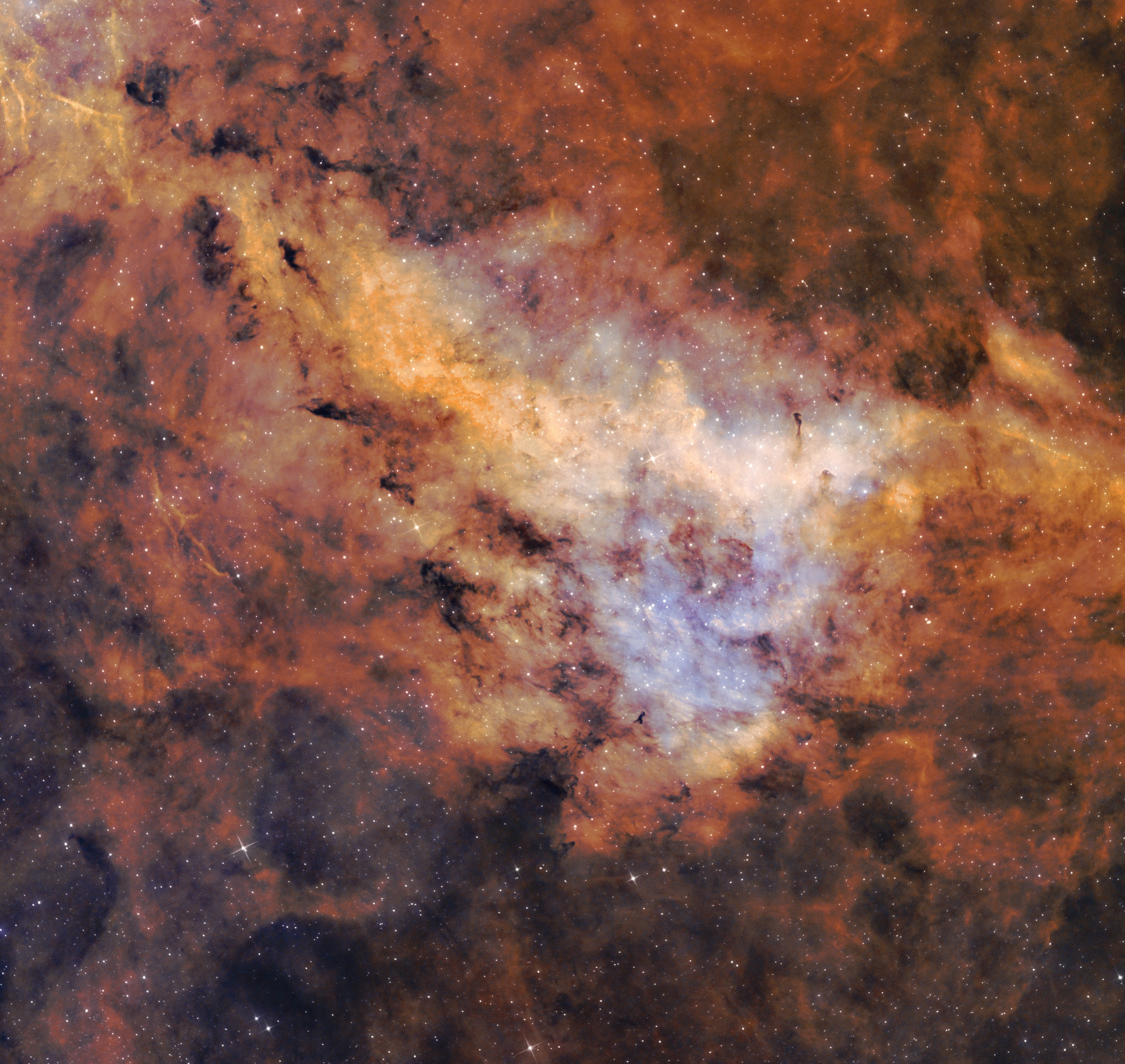 LBN 251_Longhorn nebula_HST_5_detail_sm.jpg