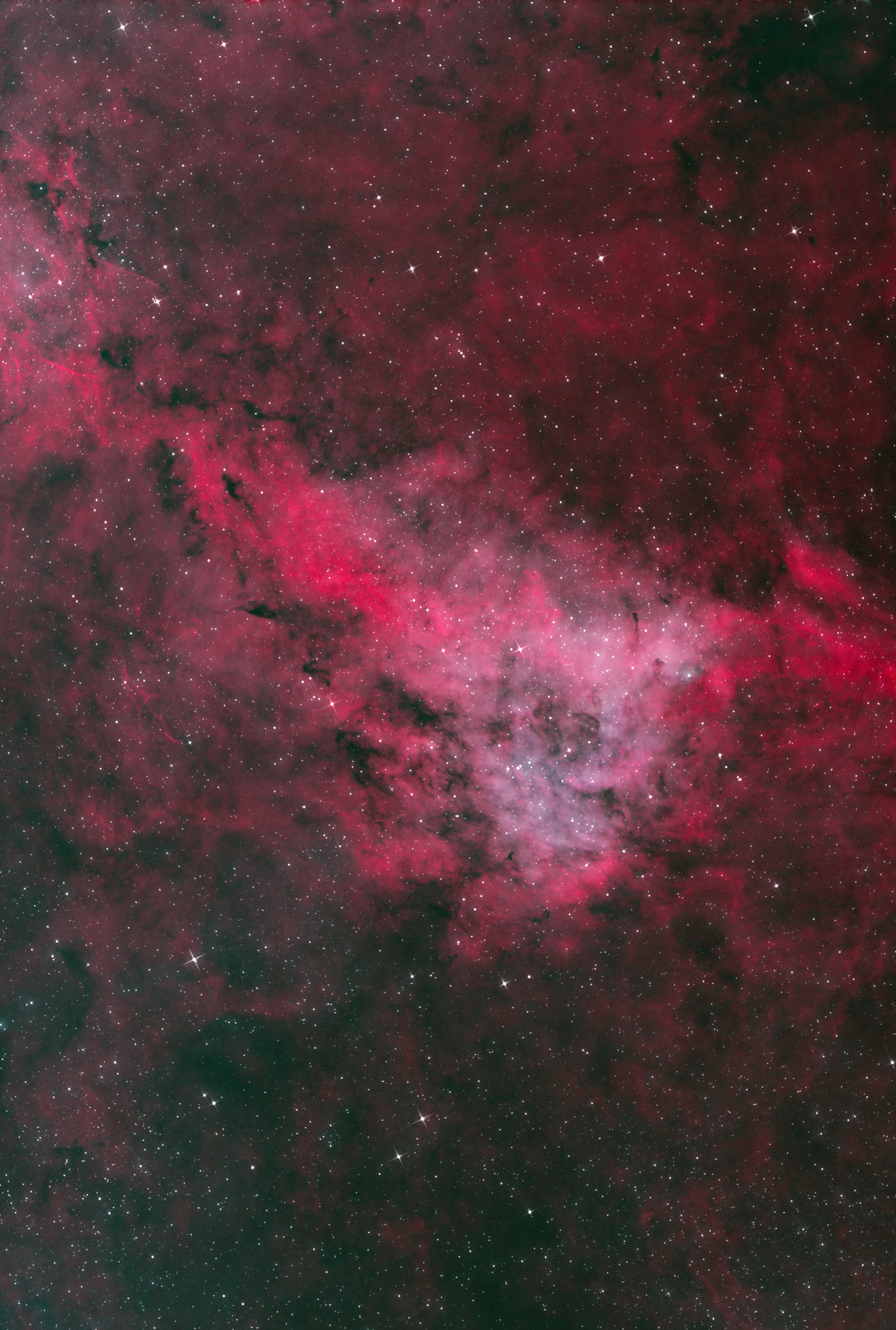 LBN 251_Longhorn nebula_Bicolor_Ha bigger stars_best_sm.jpg