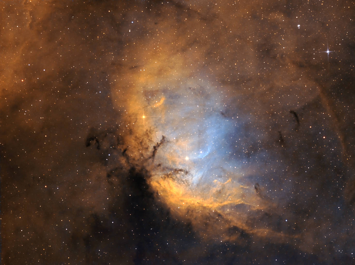 SH2-101 Tulip nebula_HST_revised.jpg