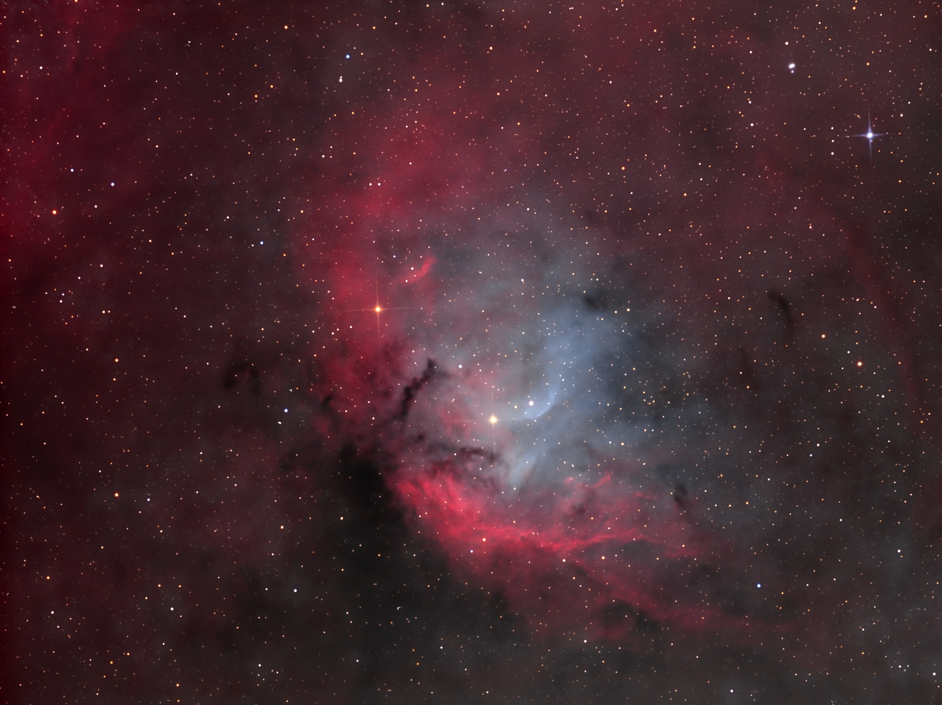 SH2-101 Tulip nebula_HOO_4.jpg