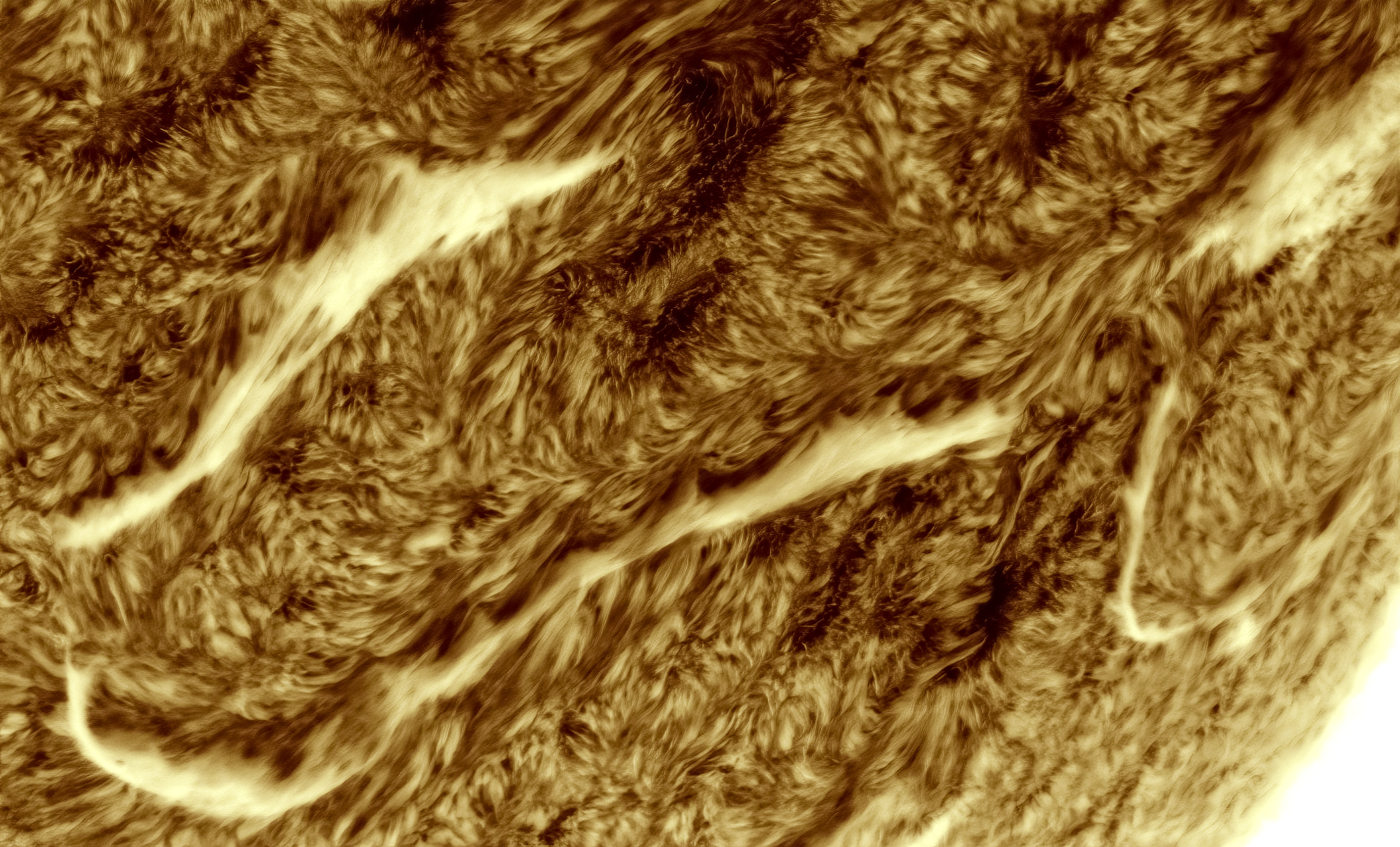 AR150,LS80+Quark,IMX432