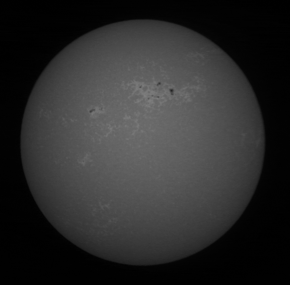 Sun 10_24_02_birds.gif