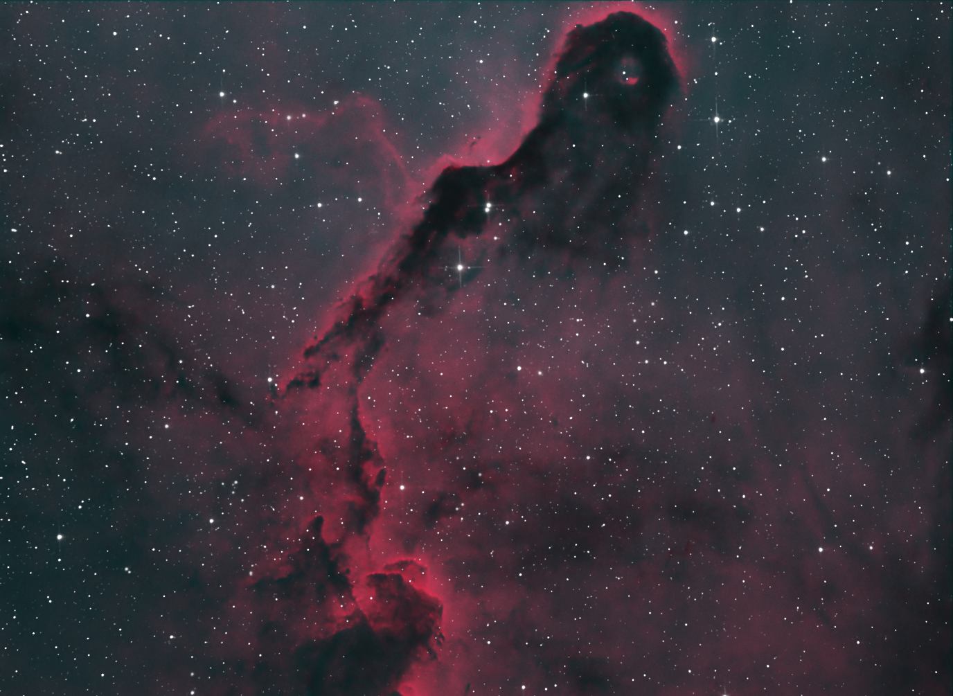 IC1396_Elephant Trunk_Bicolor_2.png