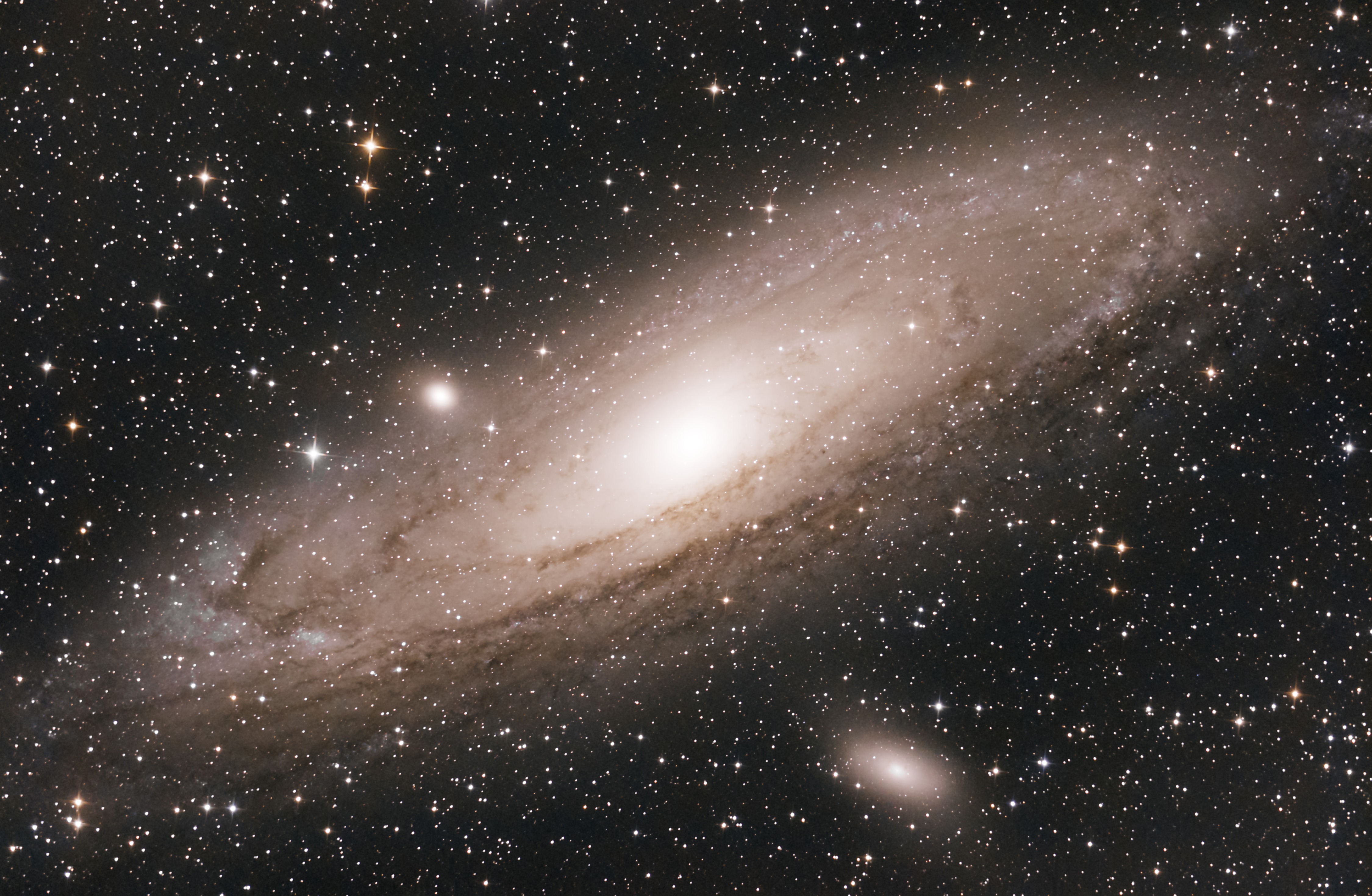 M31