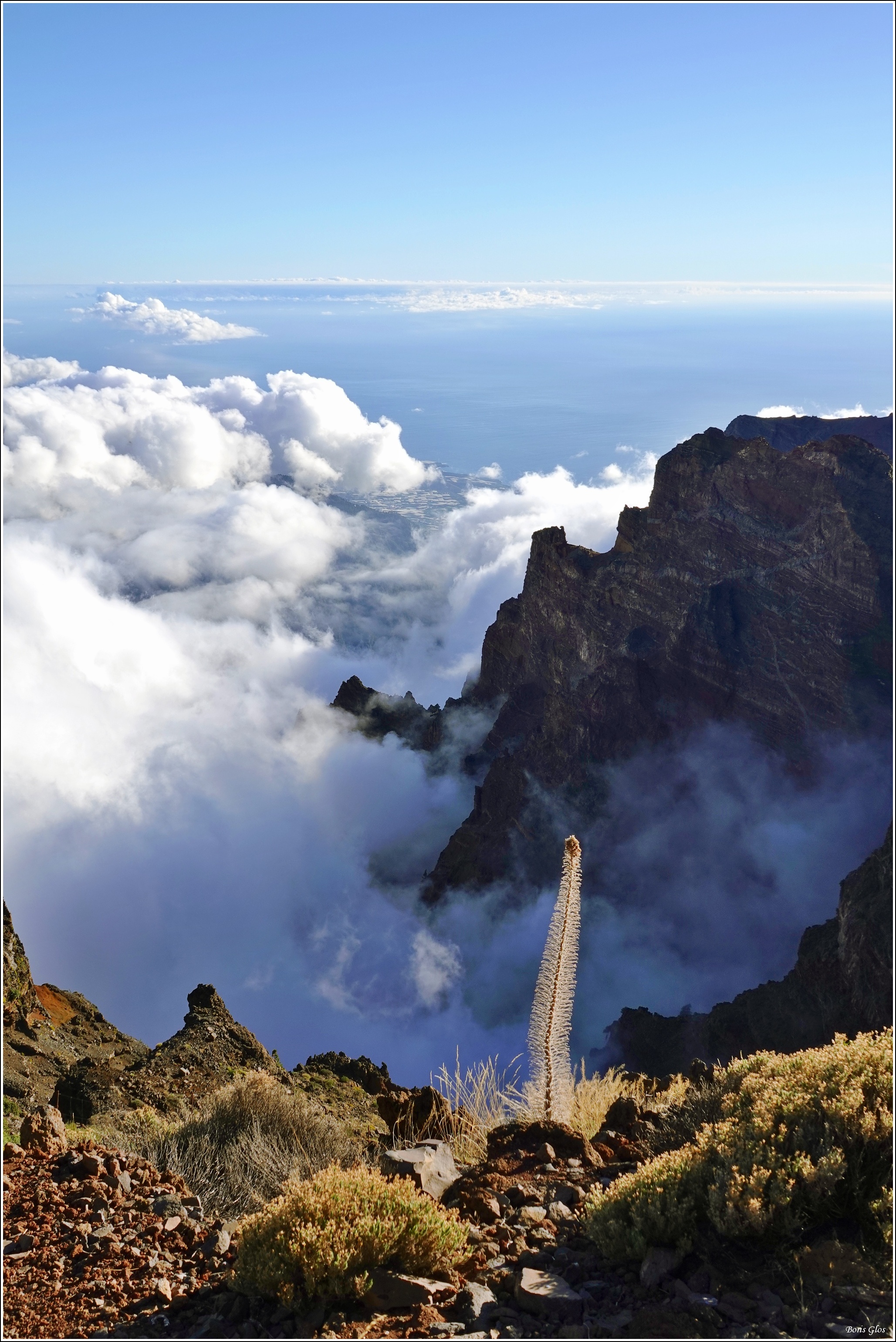 LaPalma ORM - 9.jpg