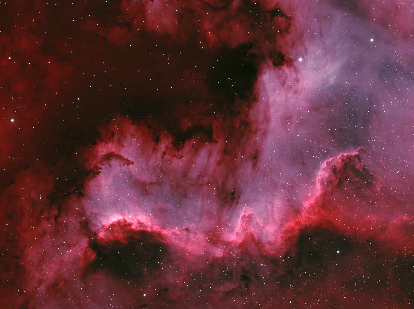 NGC7000_Cygnus wall_Bicolor_V5.png