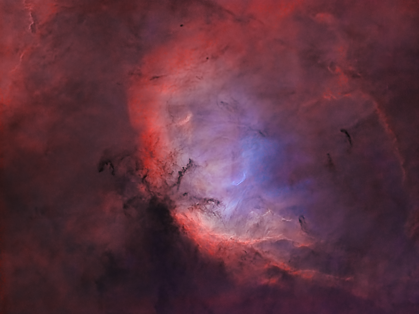 SH2_101_Tulip nebula_Bicolor_NEW_V5_starless.png