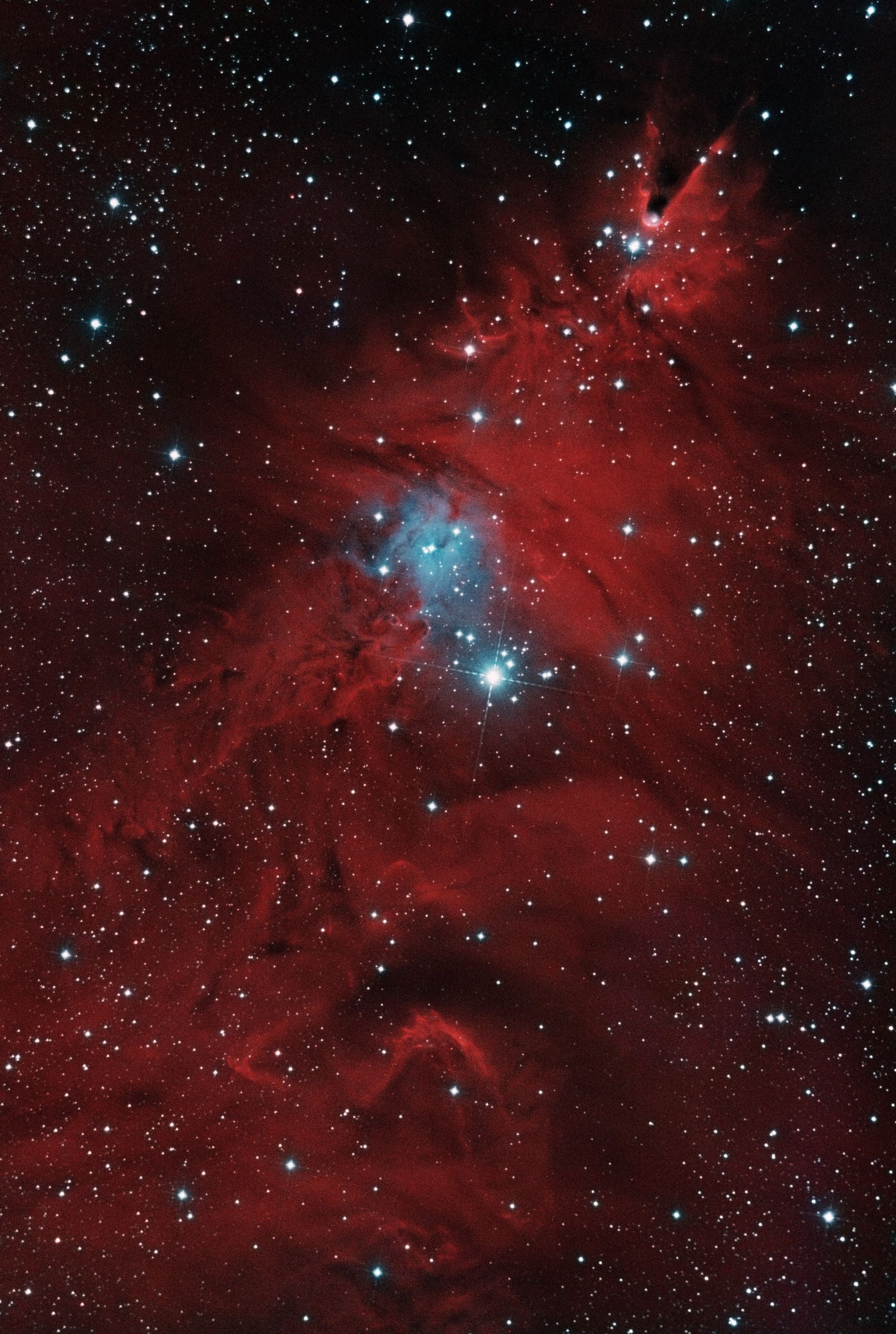 NGC2264-HaBG.jpg