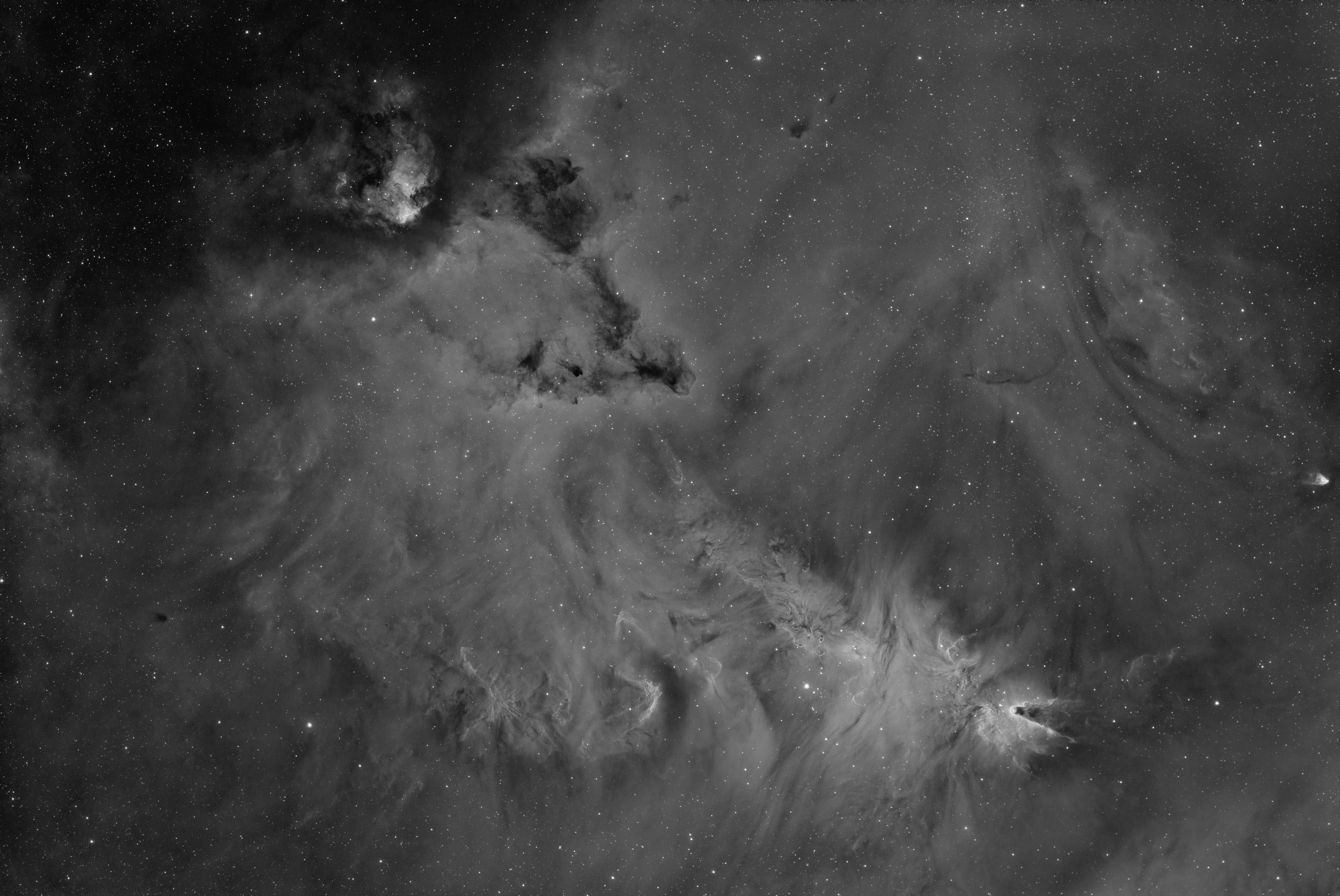 NGC 2264_Ha_full_sm.jpg