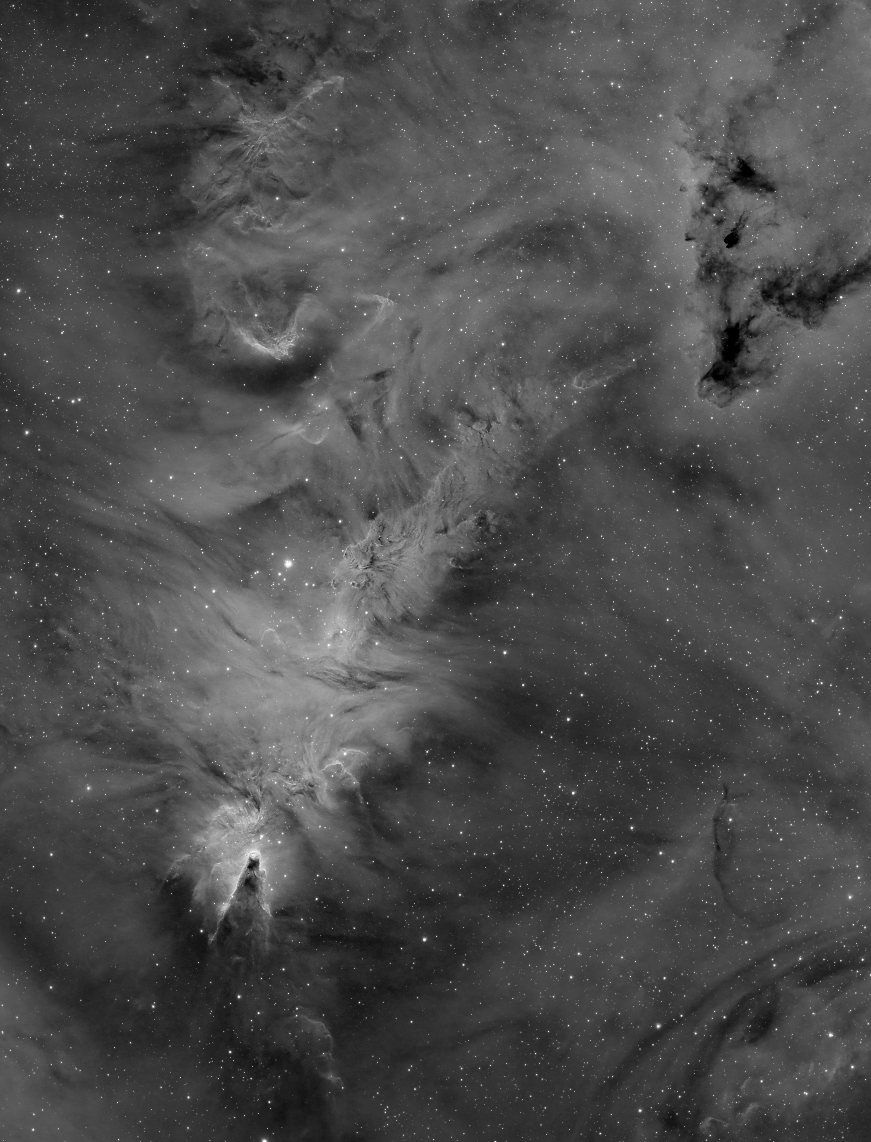 NGC 2264_central part_H-Alfa_sm.jpg