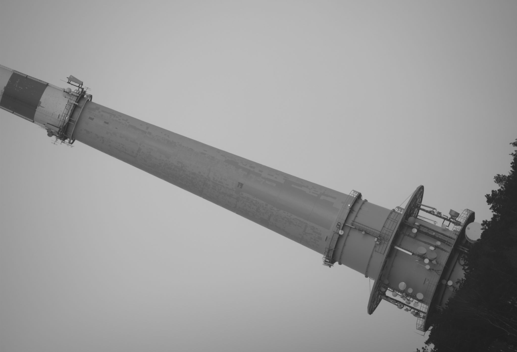 N200_600.jpg