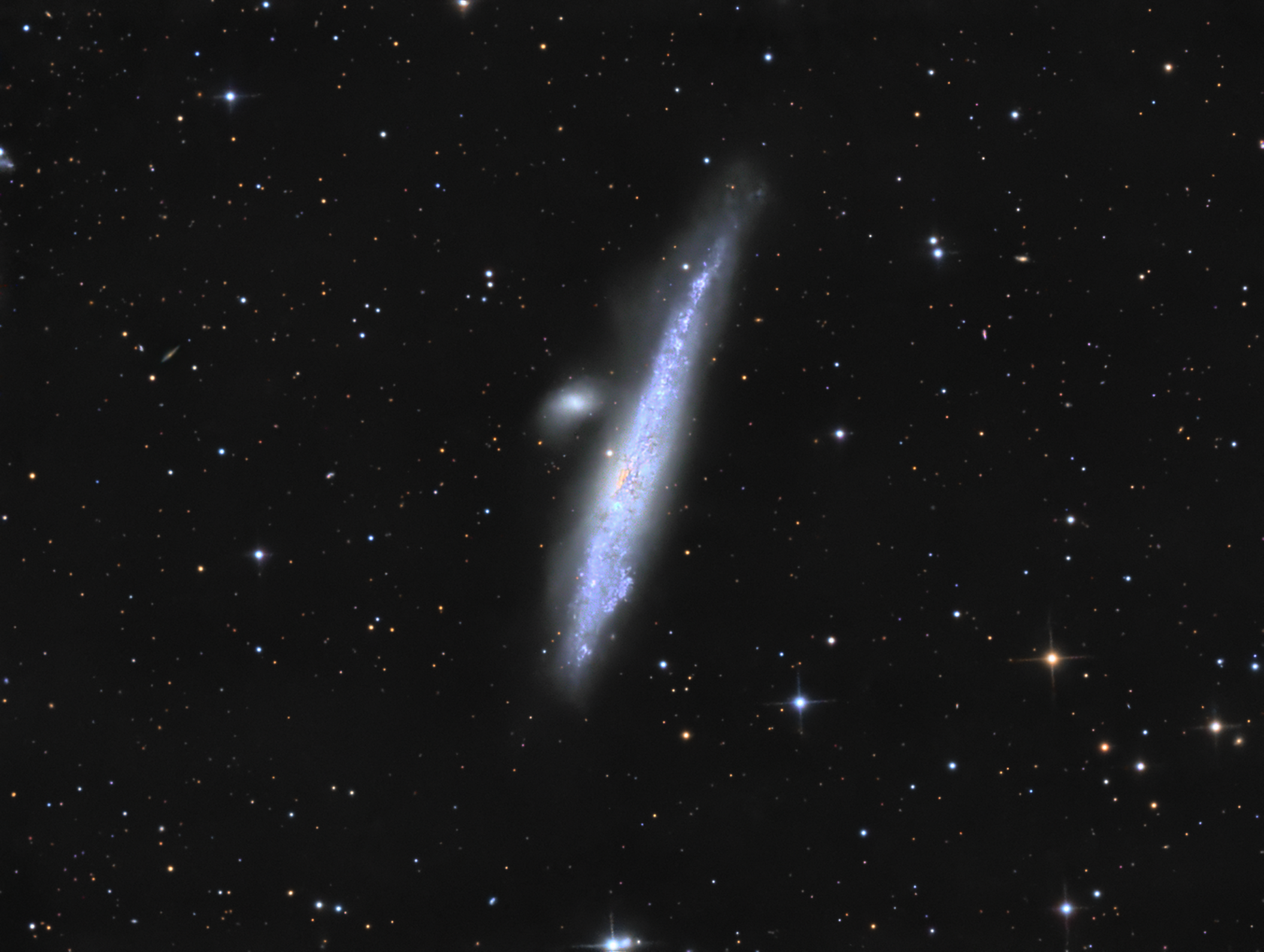NGC 4631_Whale galaxy_LRGB_sm.png