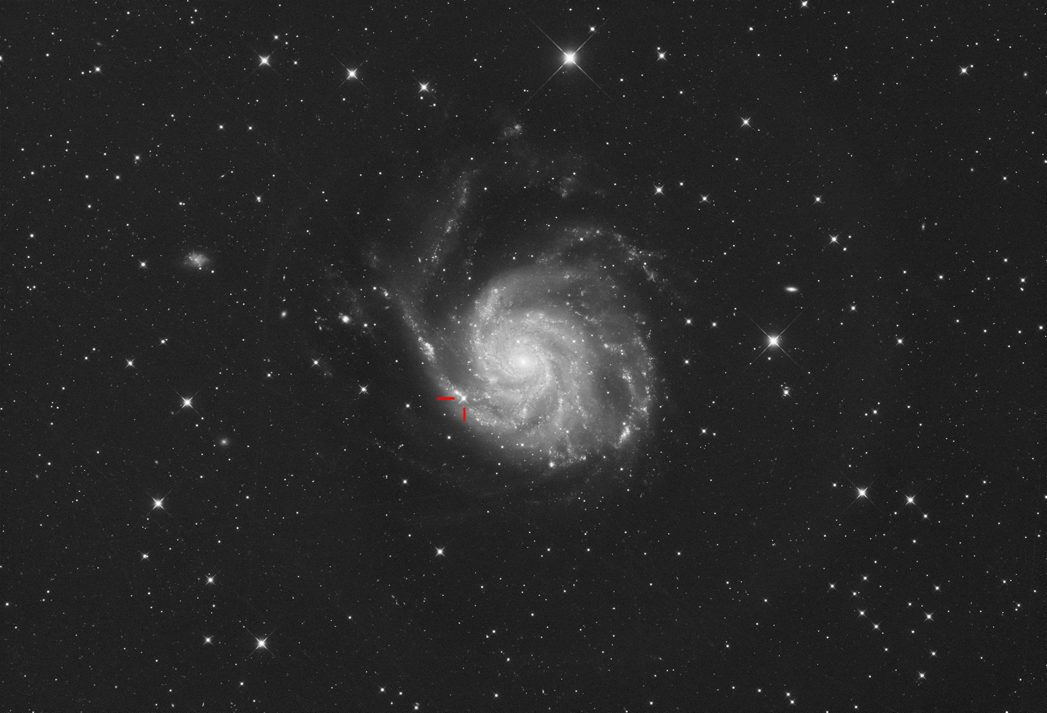 SN2023-ixf_M101__21052023.jpg