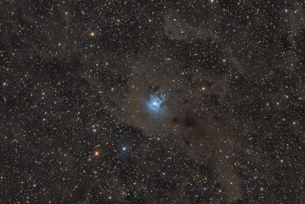 Iris_NGC7023_Final3_20.jpg