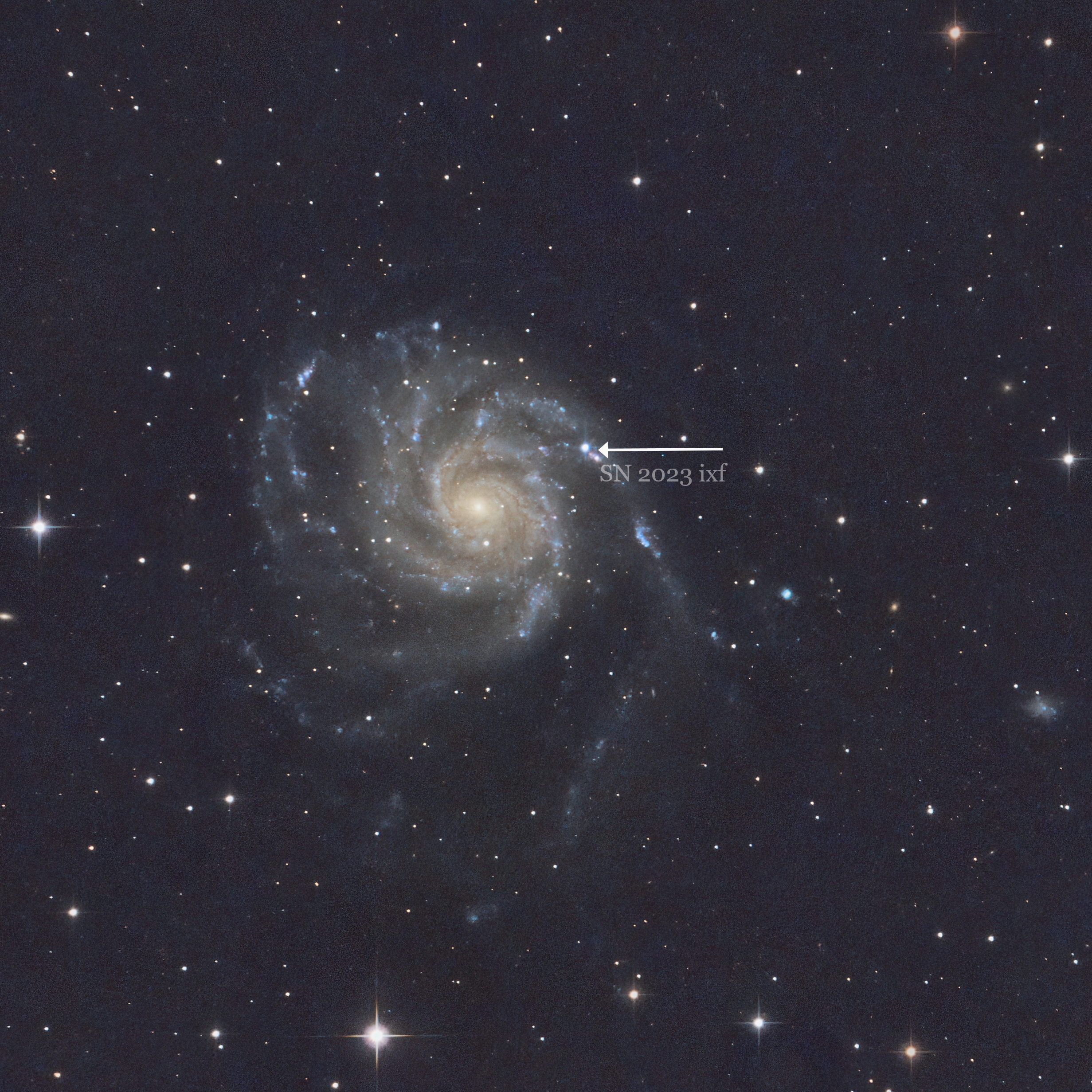 M101 Supernova SN2023ixf PN203 QHY nof1_4draft.jpg