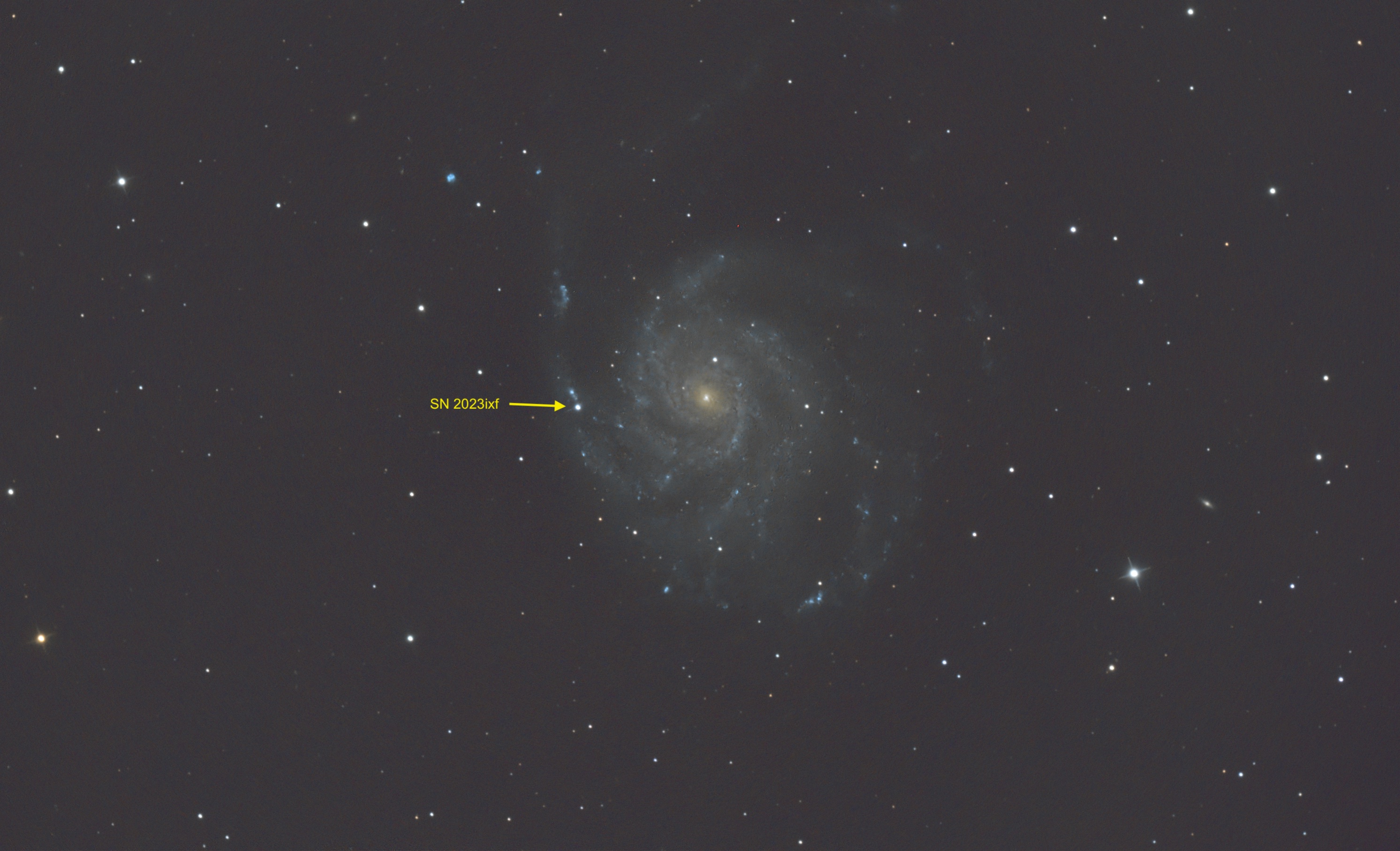 M101_SN_ SCA260.jpg
