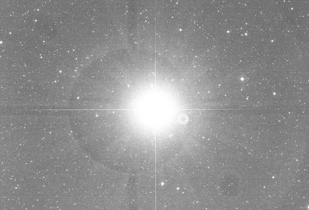 Vega-Ha-600.jpg
