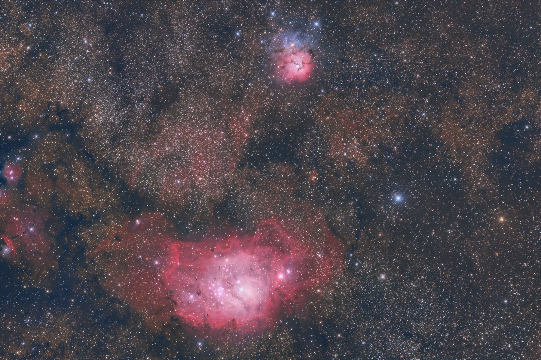 Trifid a Laguna(2).jpg