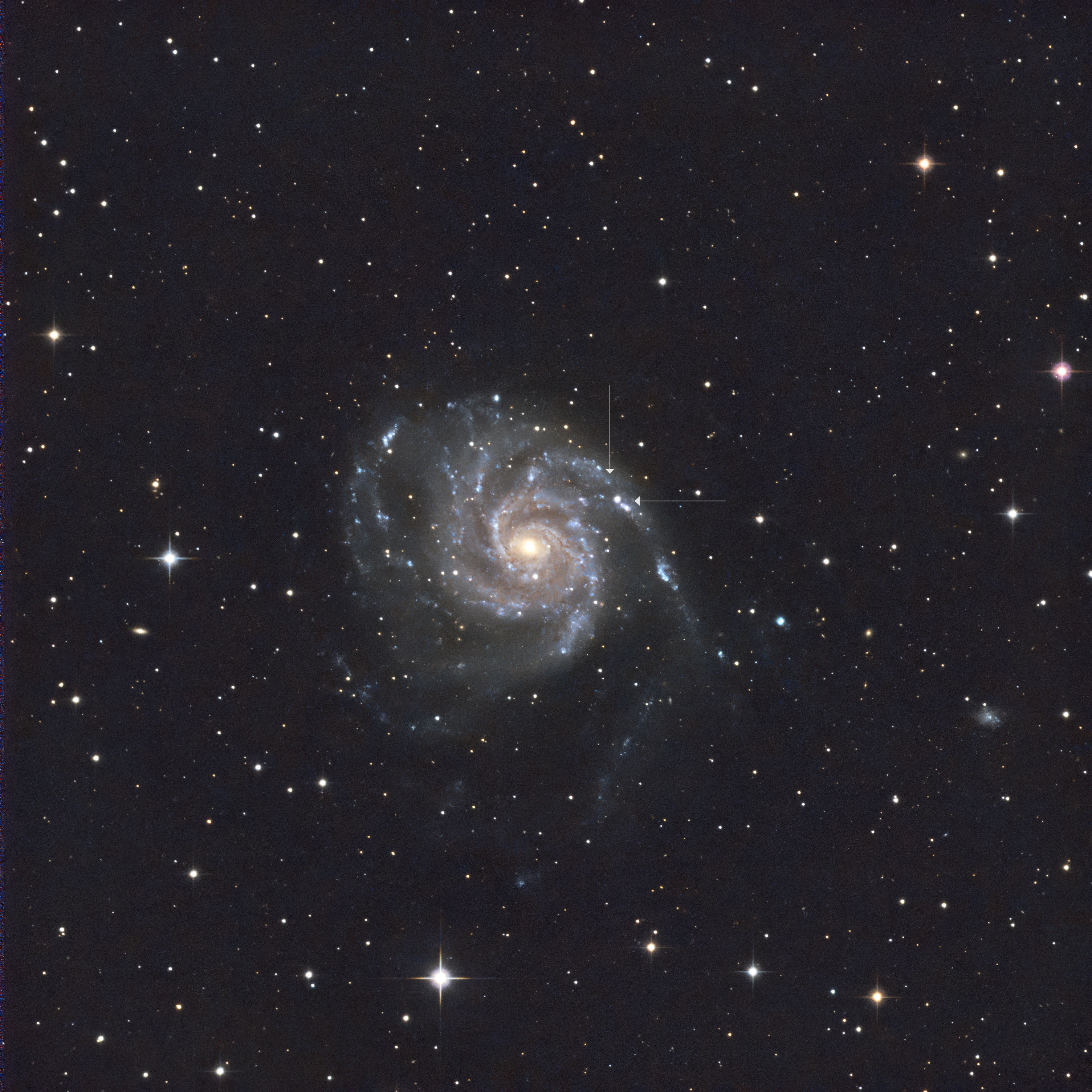 M101 Supernova SN2023ixf PN203 QHY nof2_2draft.jpg