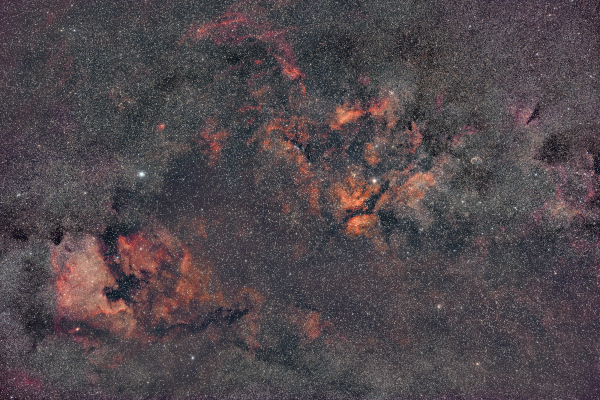 NGC7000 IC5070 SADR NGC6888 - astro-forum.jpg