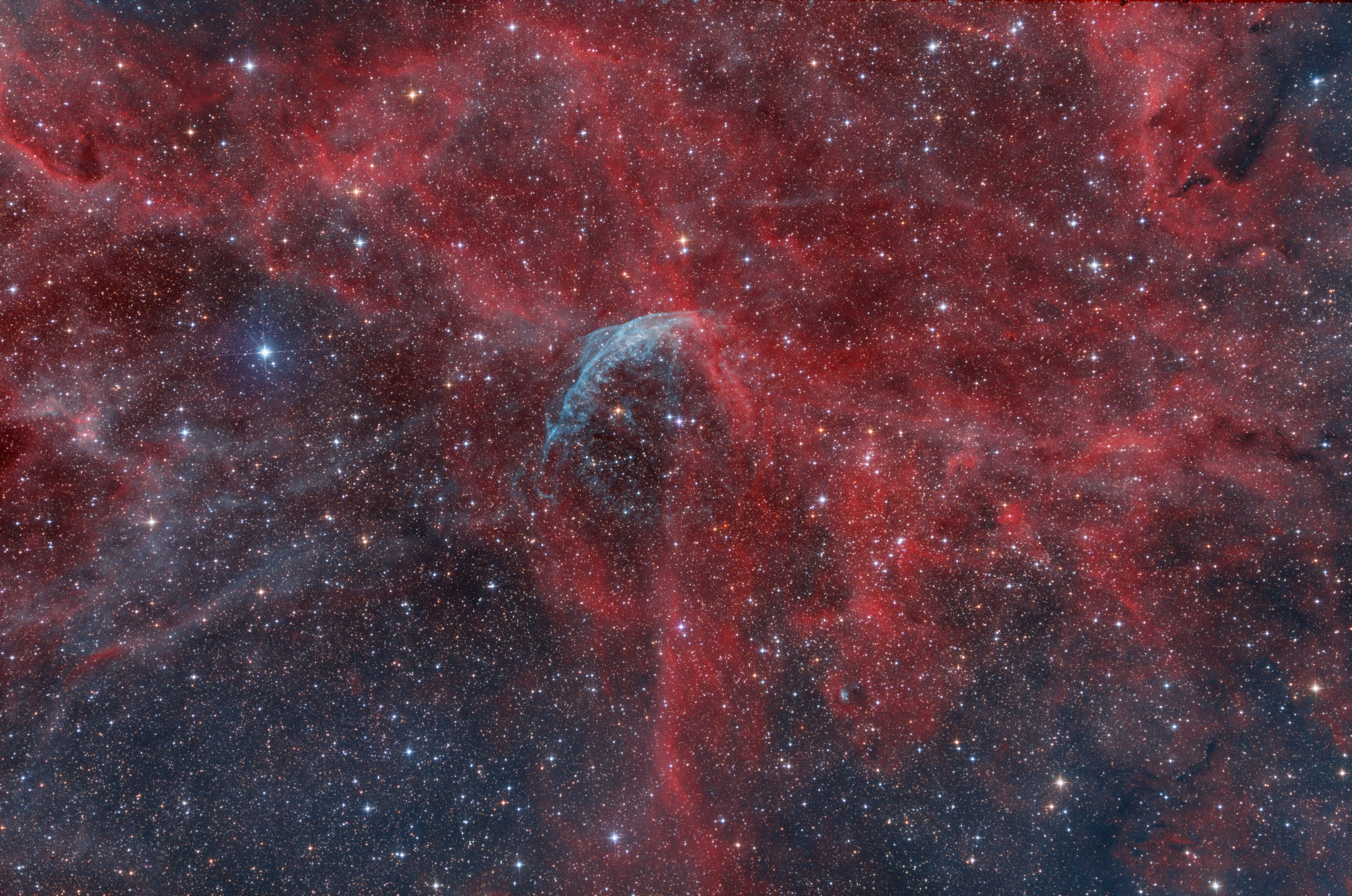 WR134 area_Bicolor with RGB stars_AF.jpg