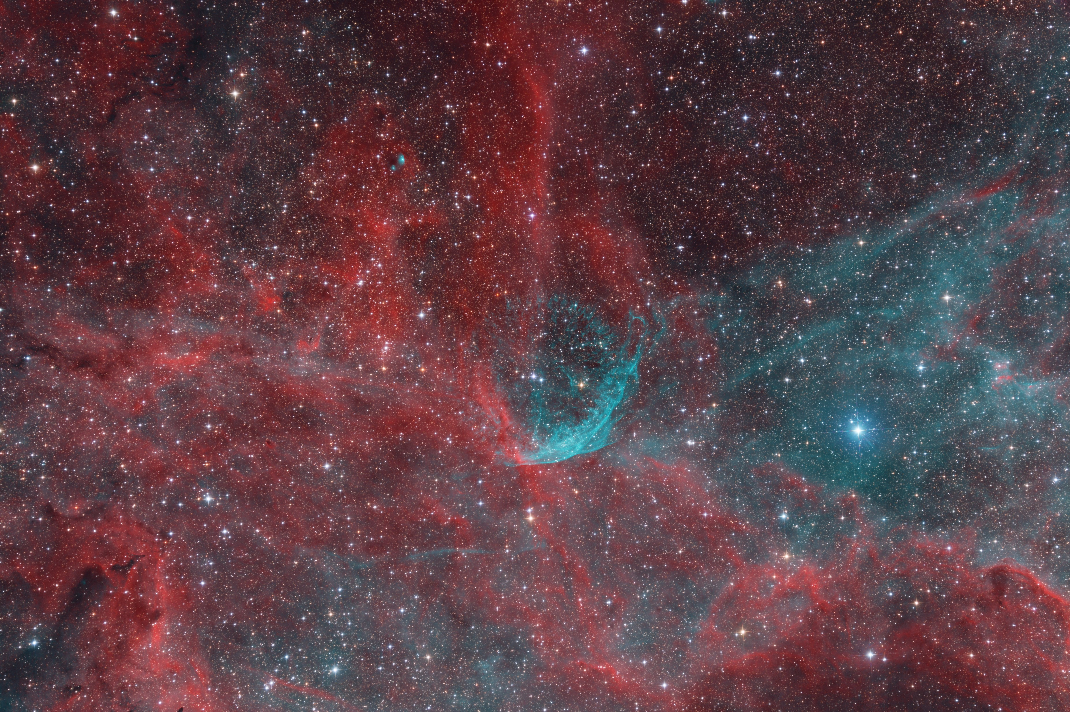 WR134 area_Bicolor with RGB stars_Final_AF.jpg