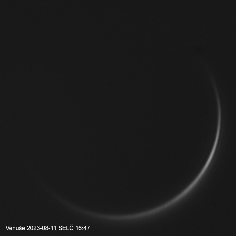 Venus 2023-08-11_16-47.jpg