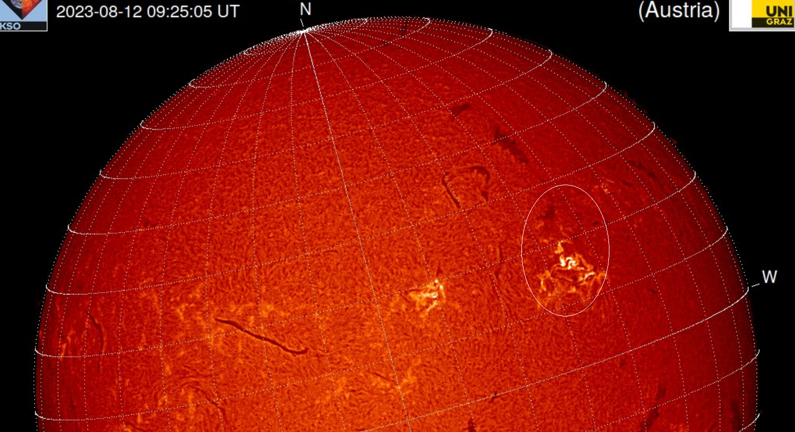 Flare a surges v AR3395, 12.08.2023, 09h 25m UT, Kanzelhöhe.png