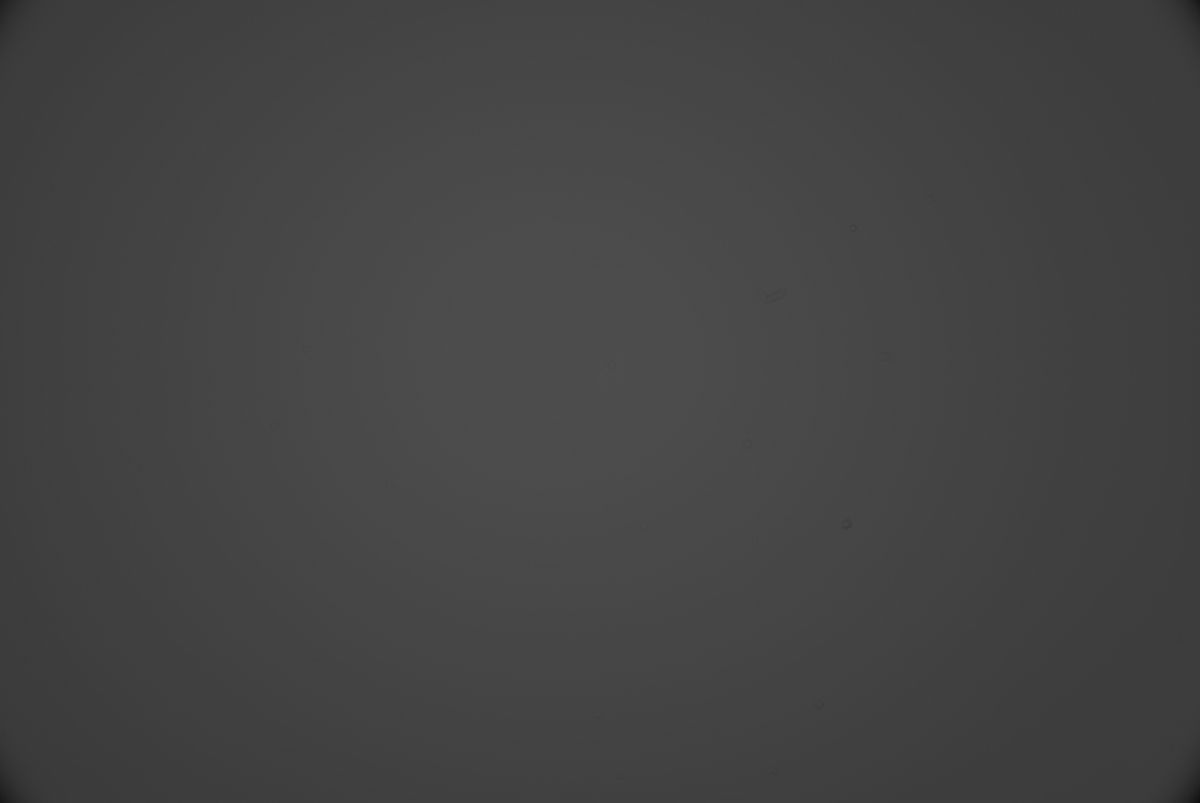 DSC02854.jpg