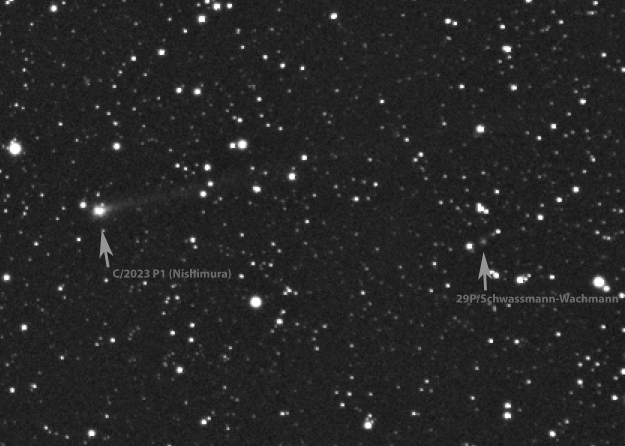comets_2023P1_29P-20230828.jpg