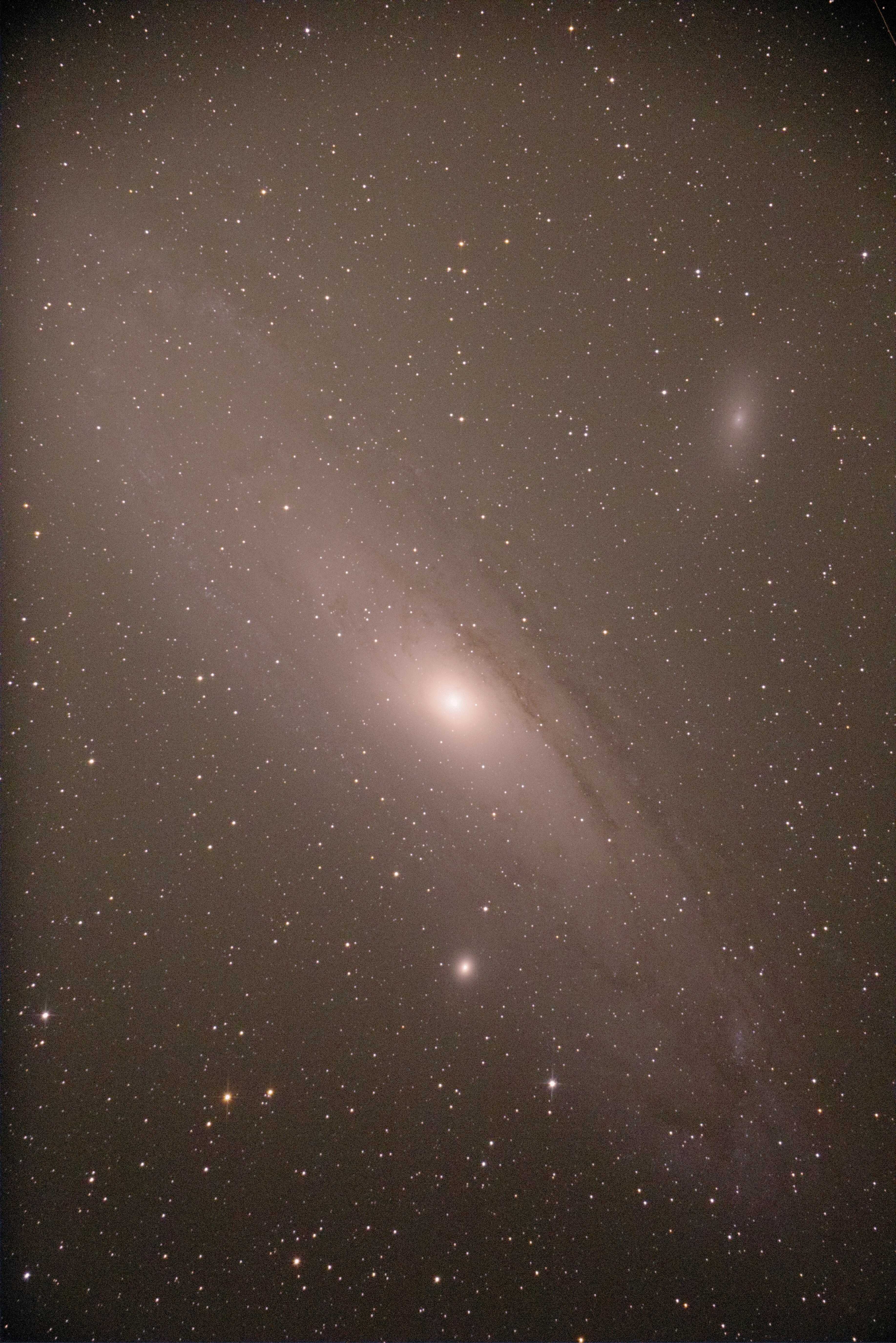 andromeda l.f.jpg