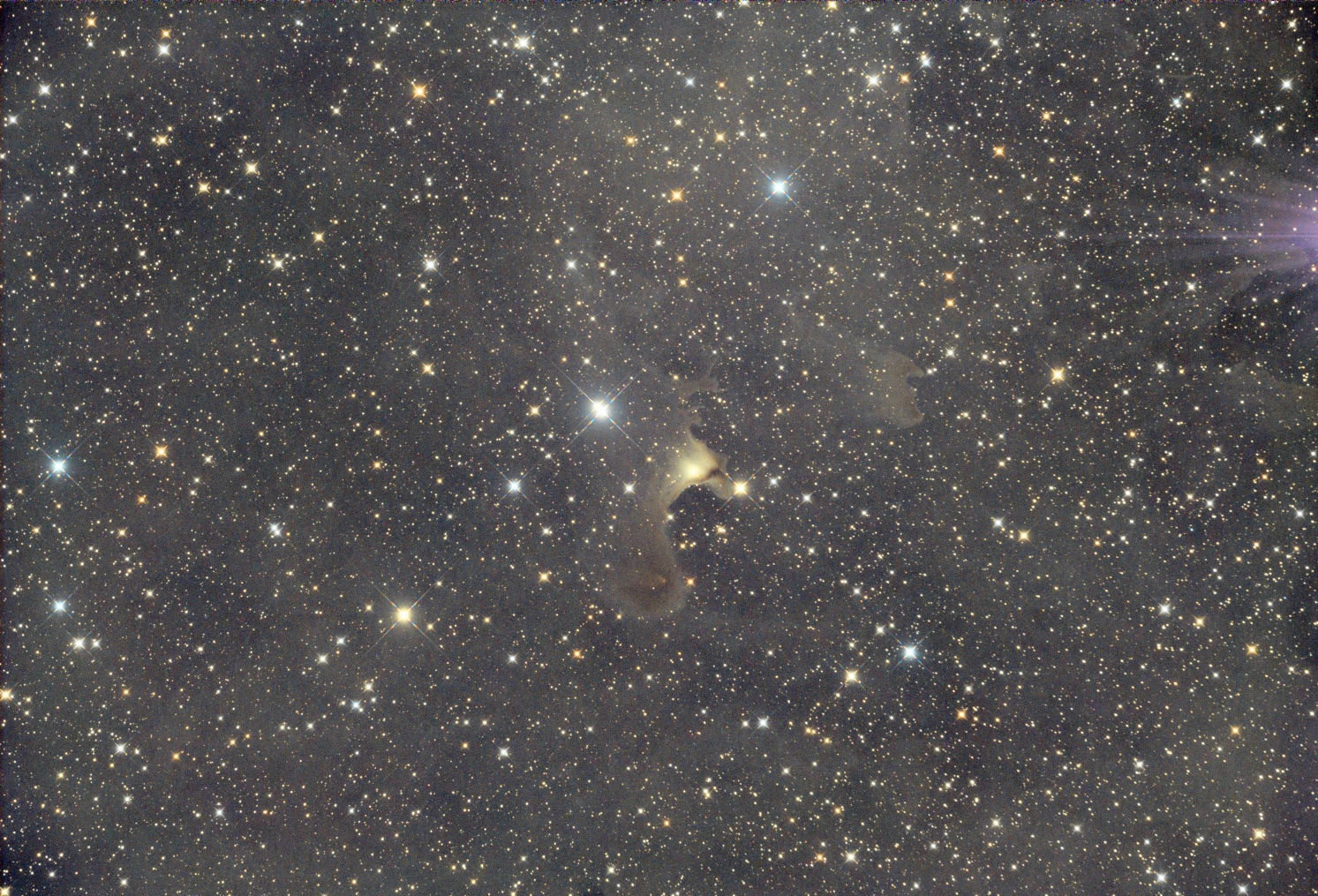 2023-09-23T20.42.41.jpg