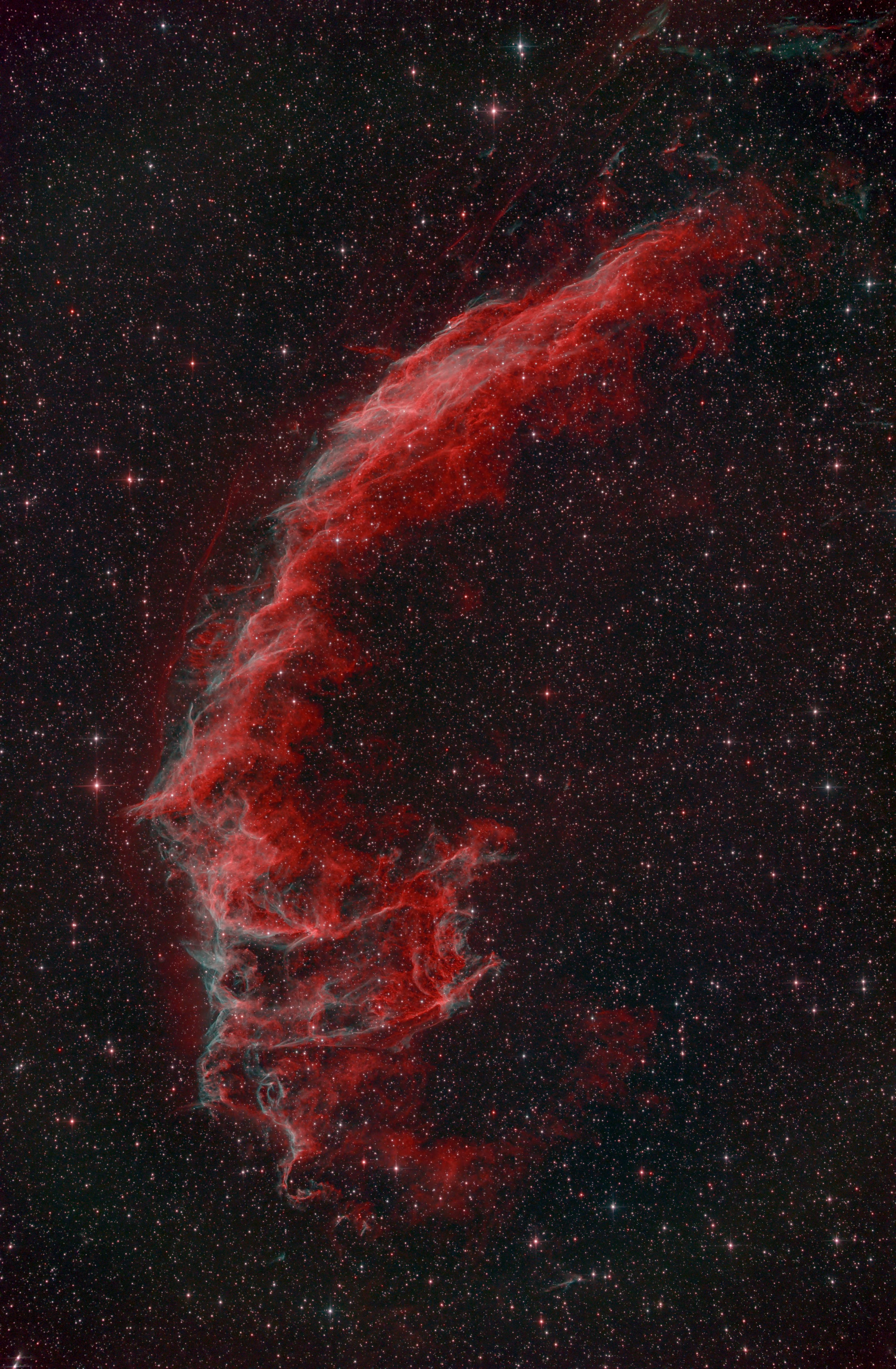 NGC6995.jpg