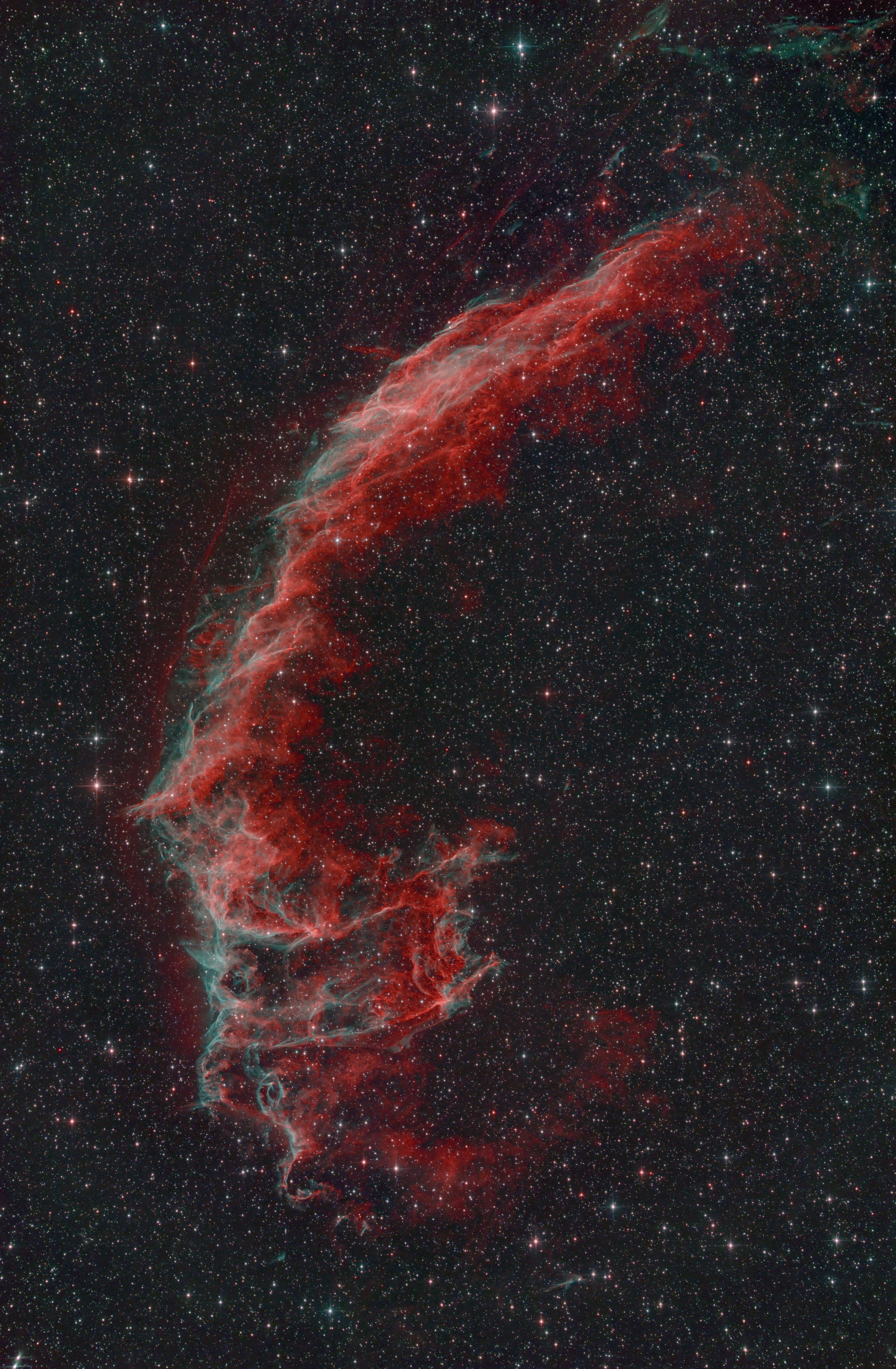 NGC6995_2_GraXpert.jpg