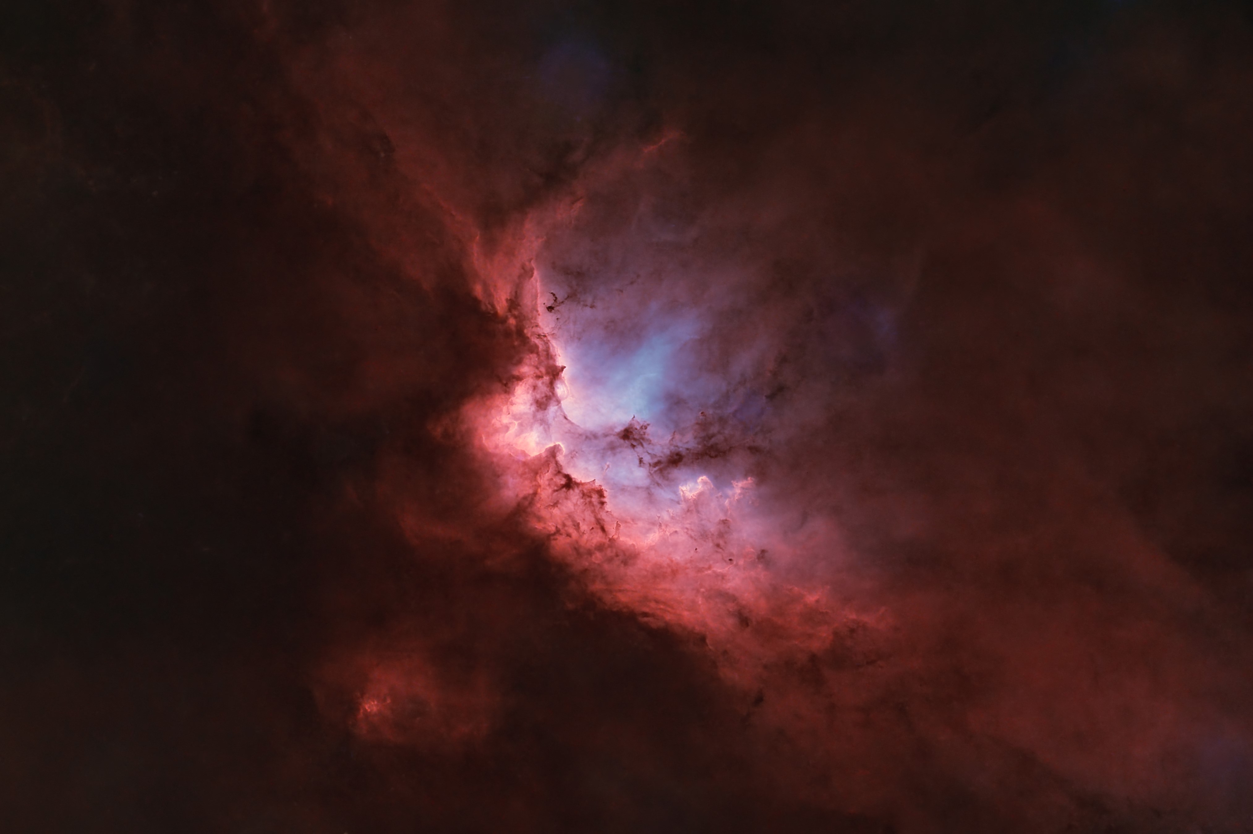 Bicolor_NEW_V2_starless_crop_AF.jpg