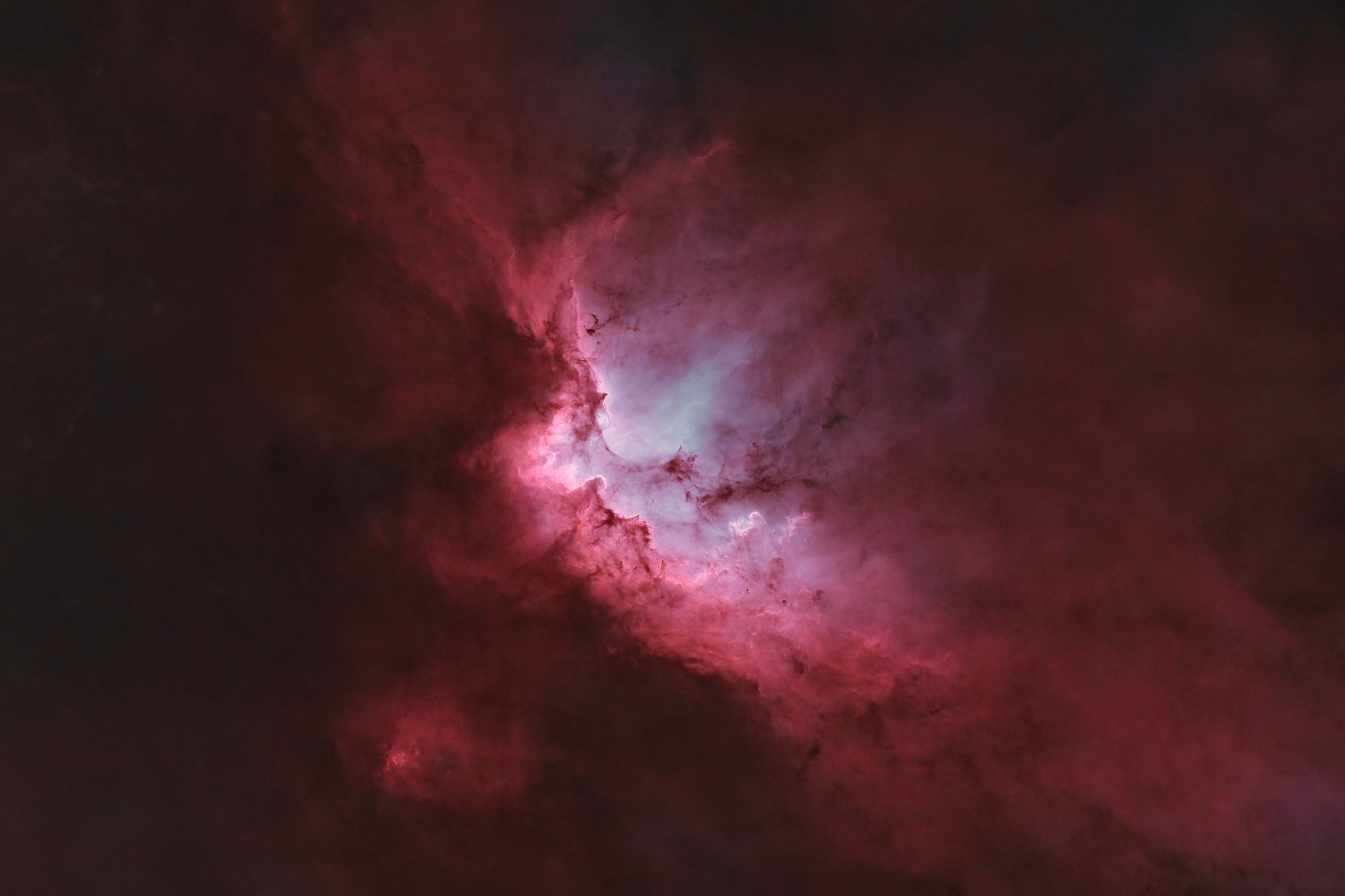 Bicolor_NEW_V1_starless_crop_AF.jpg