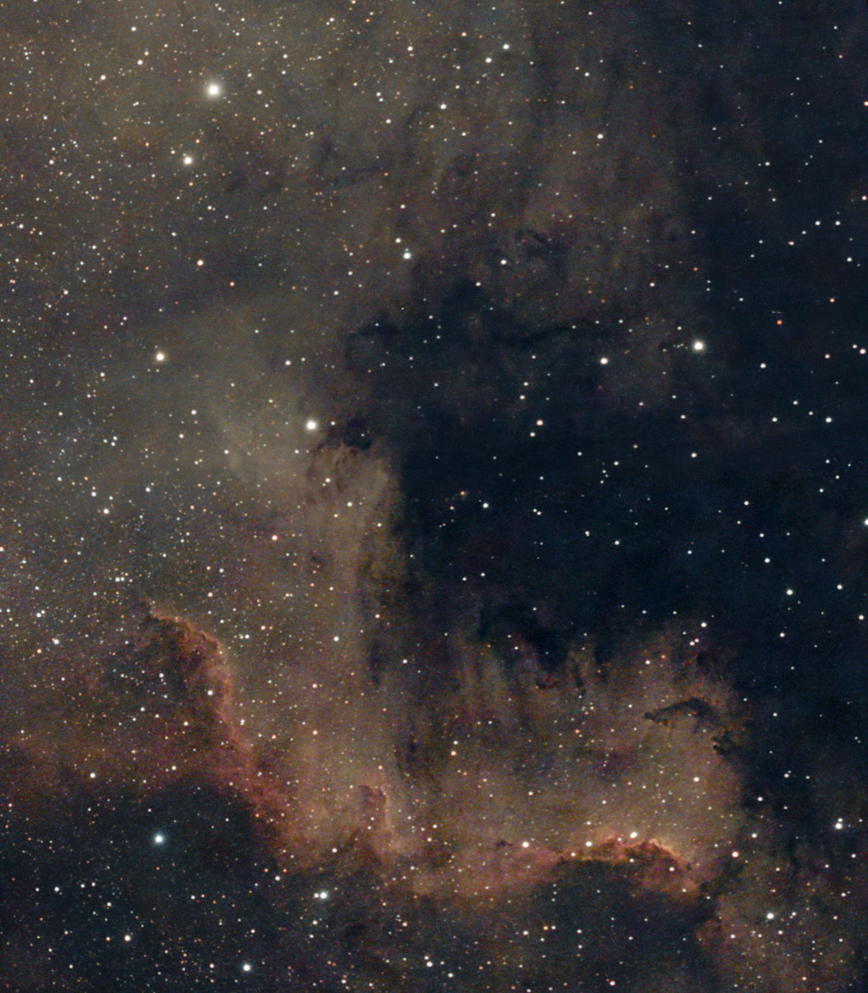NGC7000_Seestar_MozaikaPI.jpg